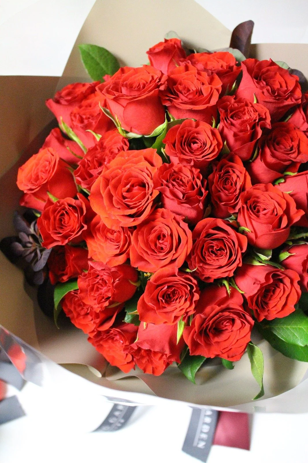 Classic Red | Valentine's Day