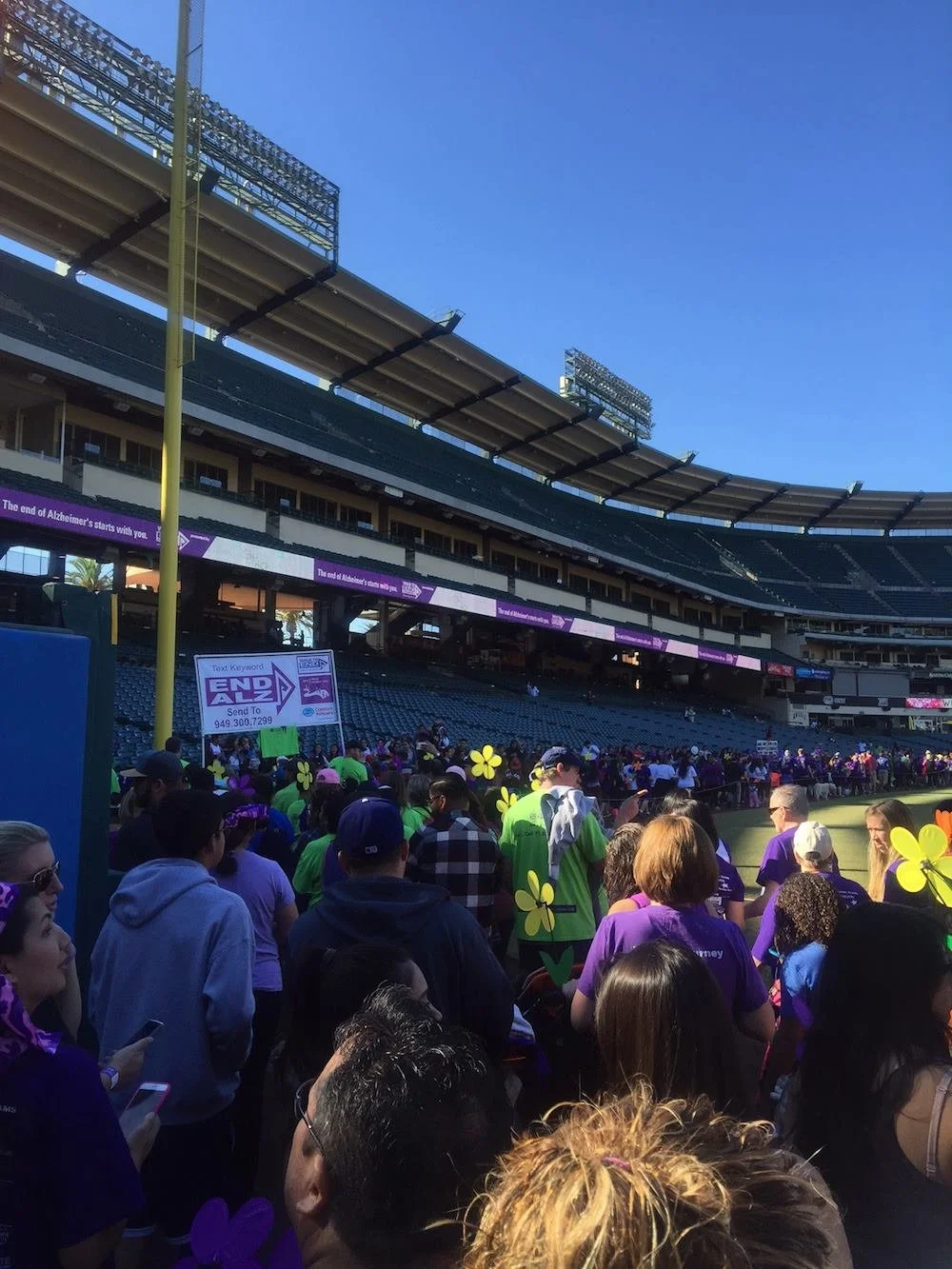 ALZWALK2.jpg