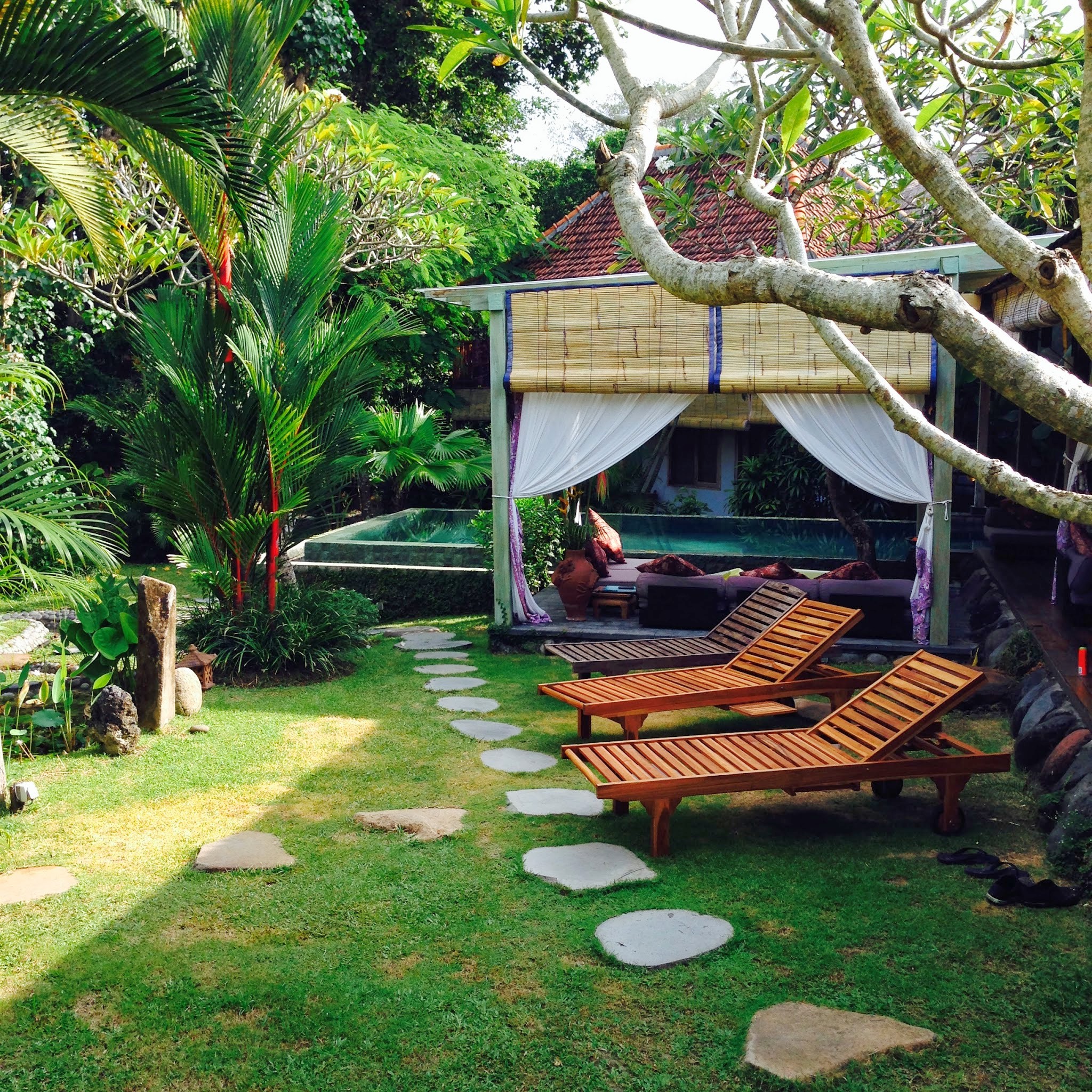 BALI5.jpg