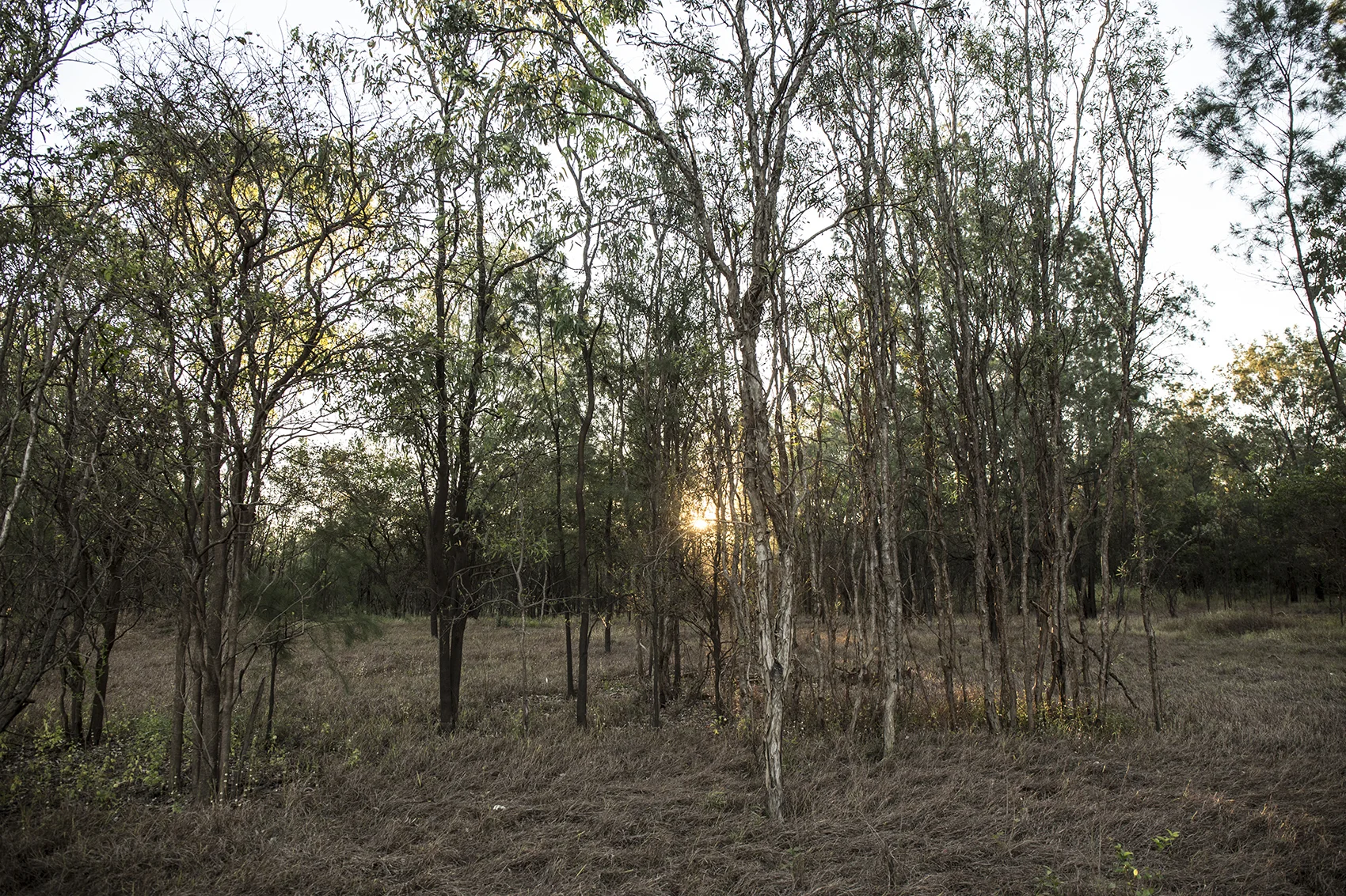 landscape 2.jpg