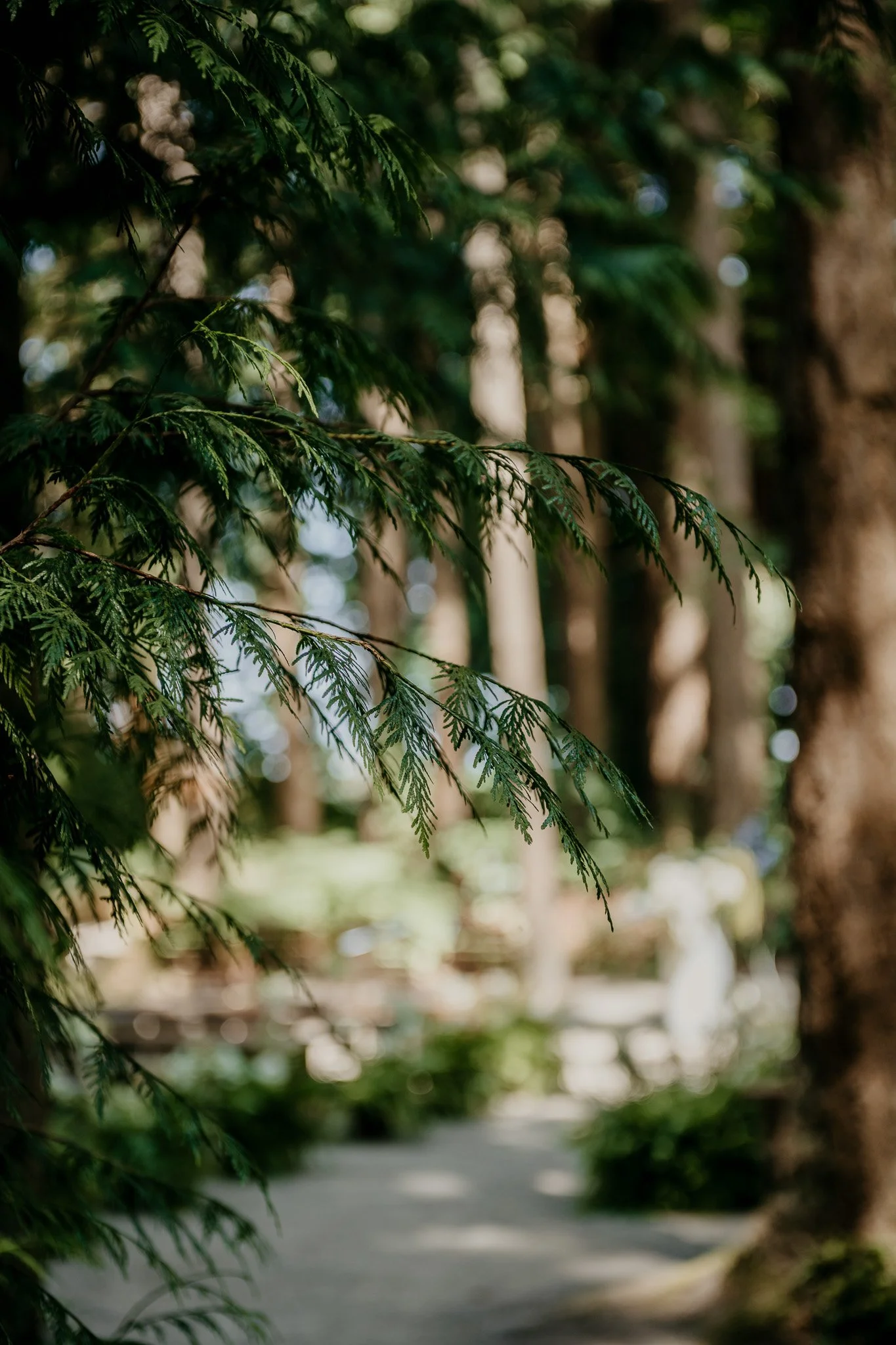 Lisa and Josh's Sea Cider Wedding - S.McIntosh Photo (12).jpg