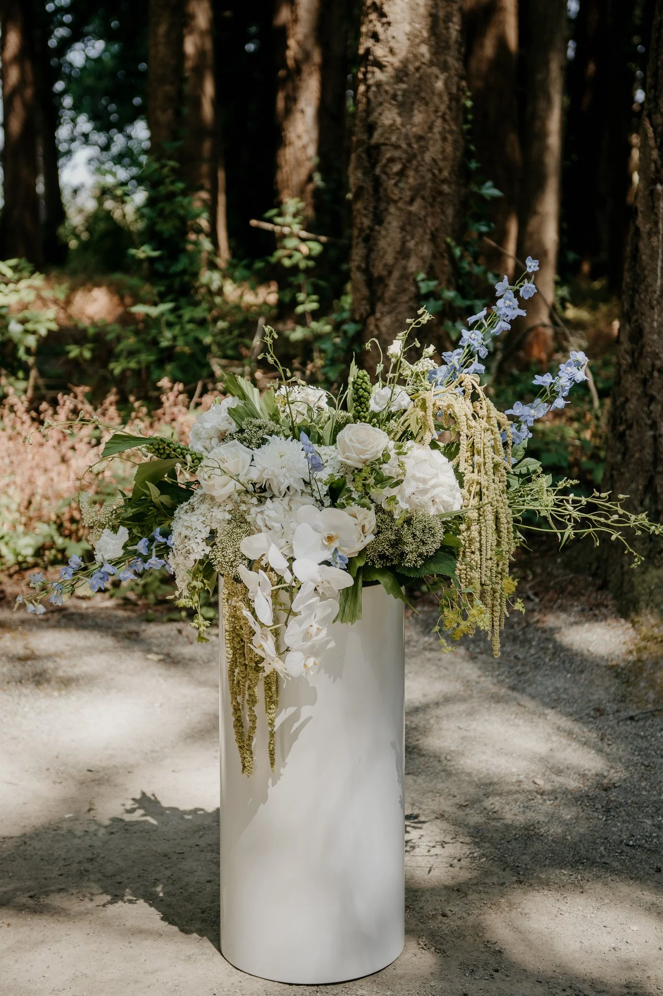 Lisa and Josh's Sea Cider Wedding - S.McIntosh Photo (3).jpg
