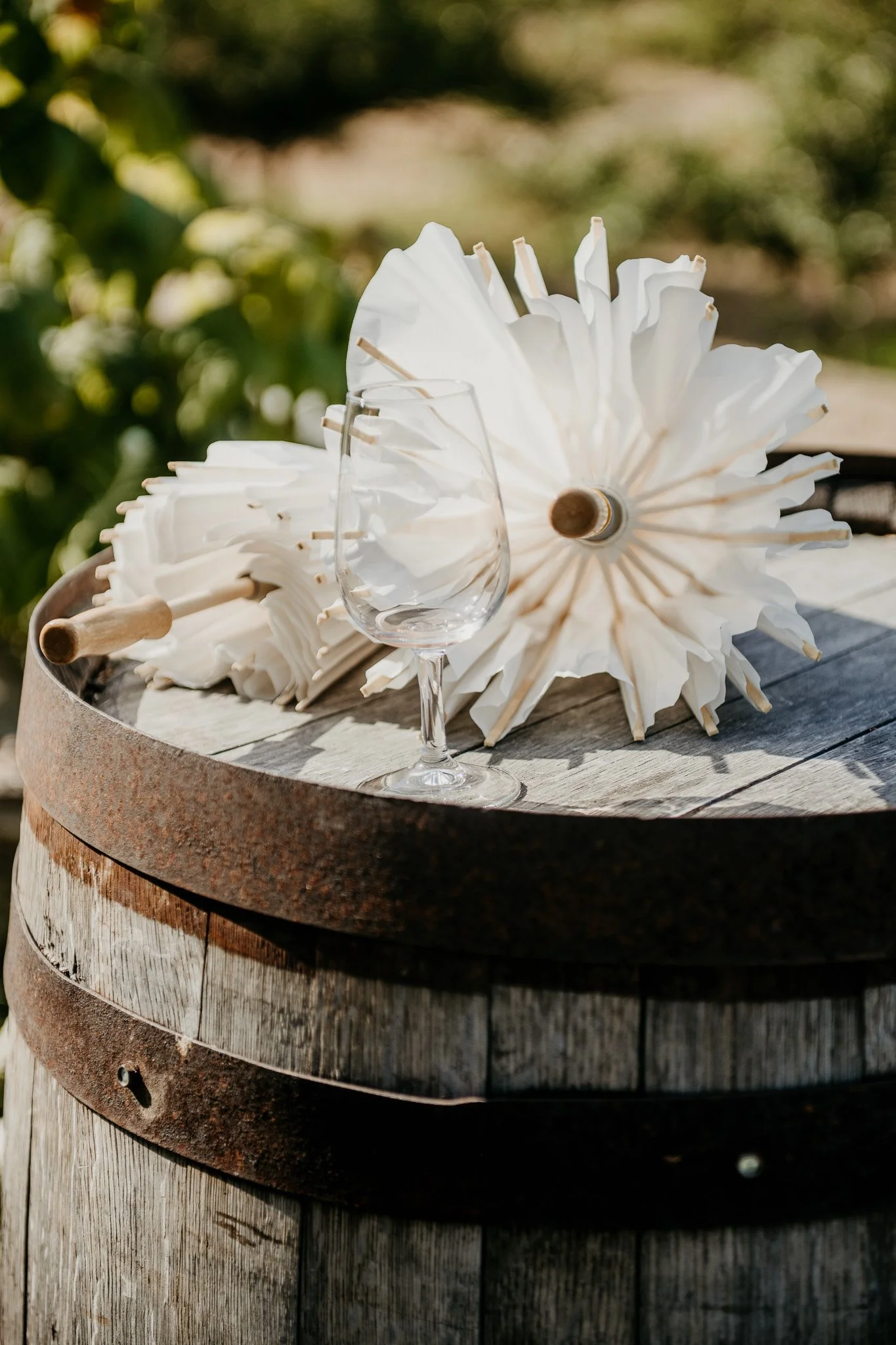 Lisa and Josh's Sea Cider Wedding - S.McIntosh Photo (311).jpg