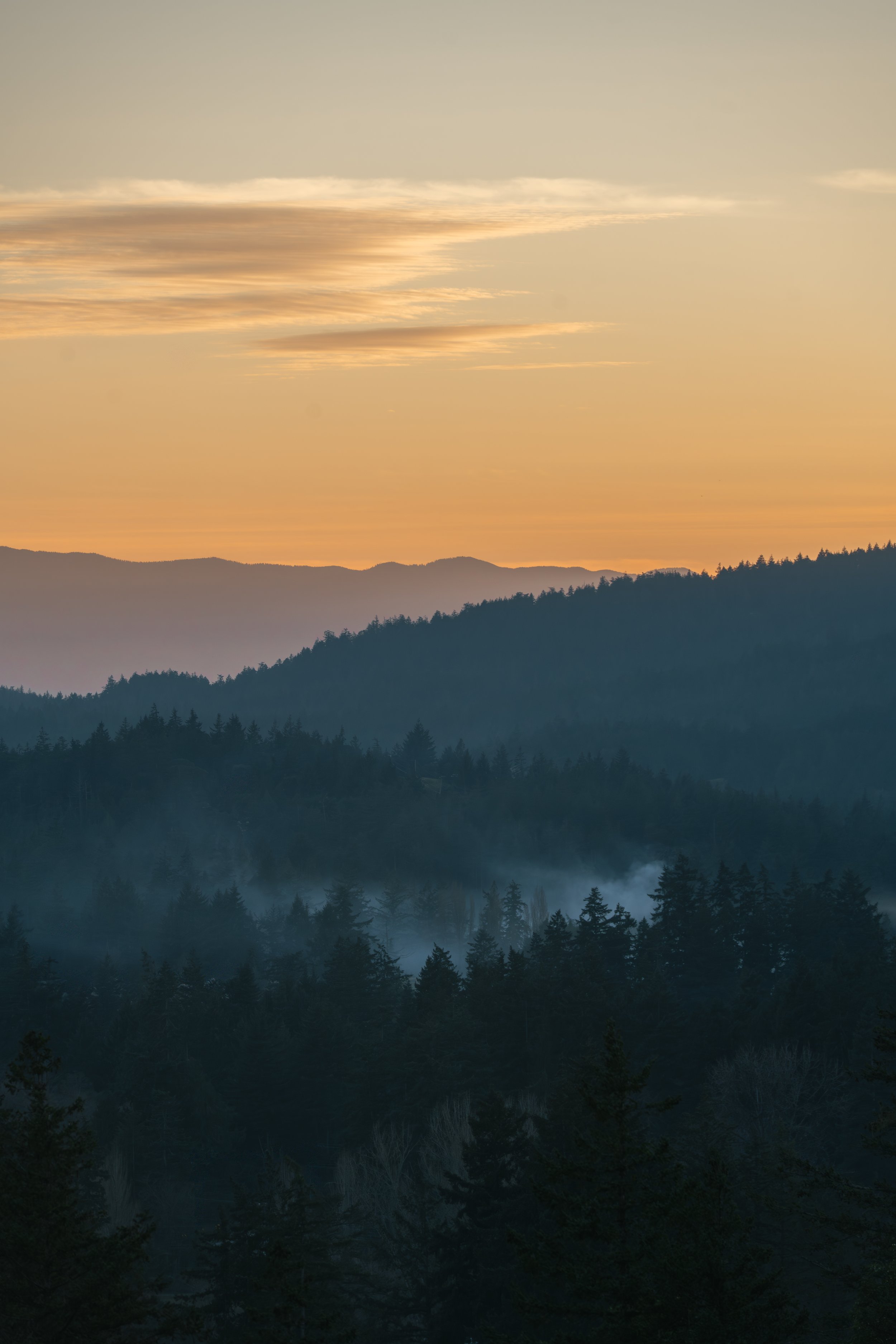 Misty Mountain Sunset