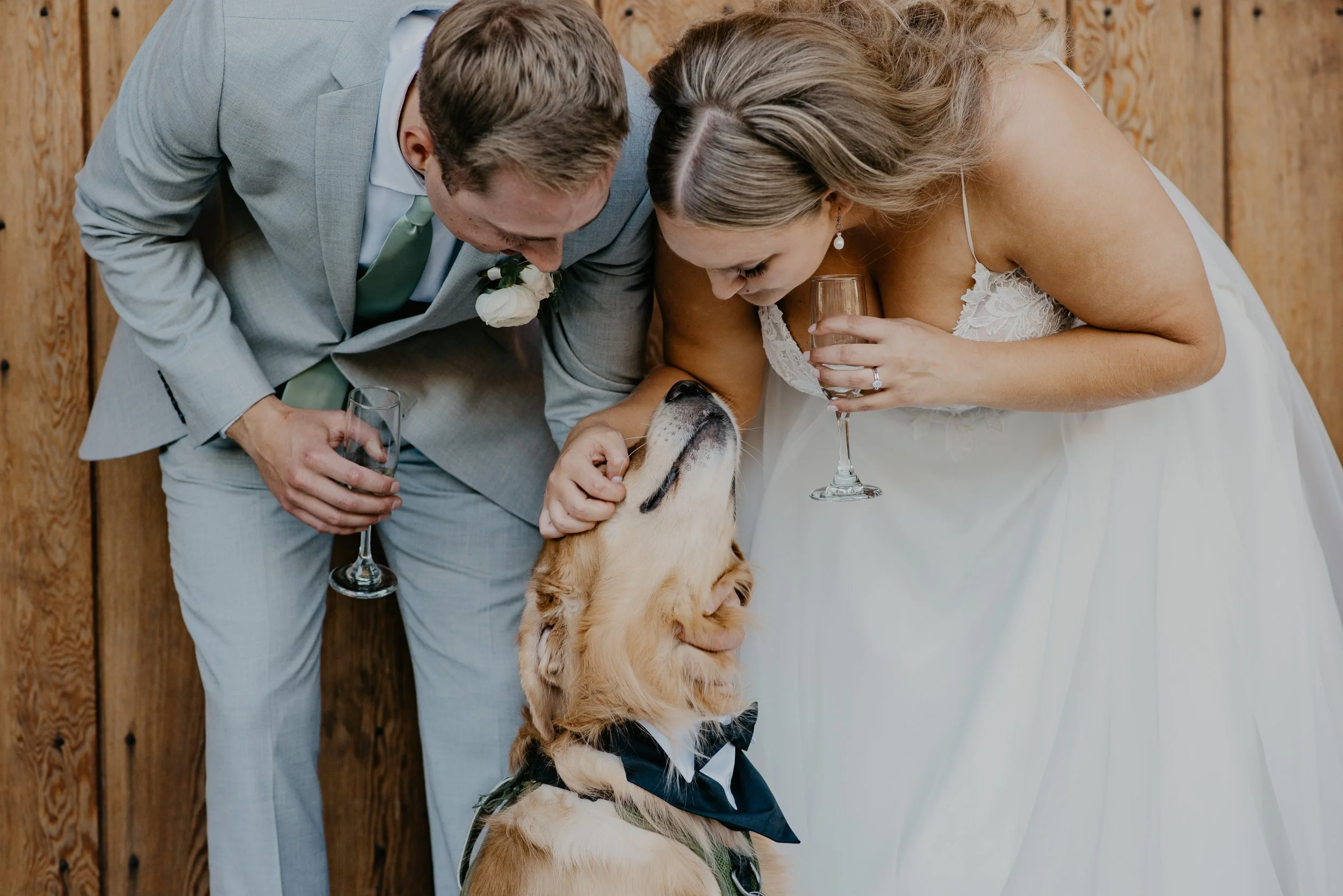 Leah and Cole Bird's Eye Cove Wedding Photography August-31.jpg