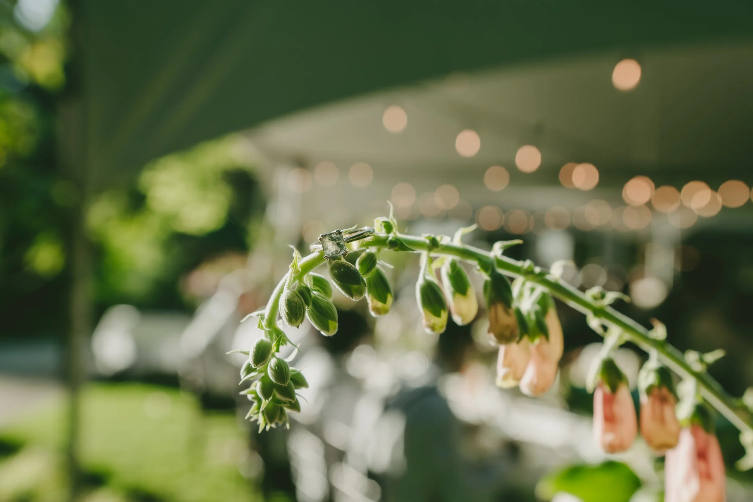 S. McIntosh Photo Victoria B.C Wedding Photographer-33.jpg