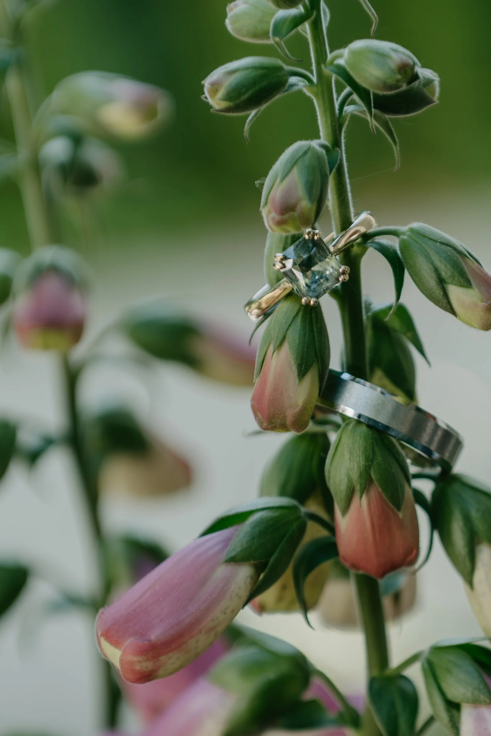 S. McIntosh Photo Victoria B.C Wedding Photographer-34.jpg
