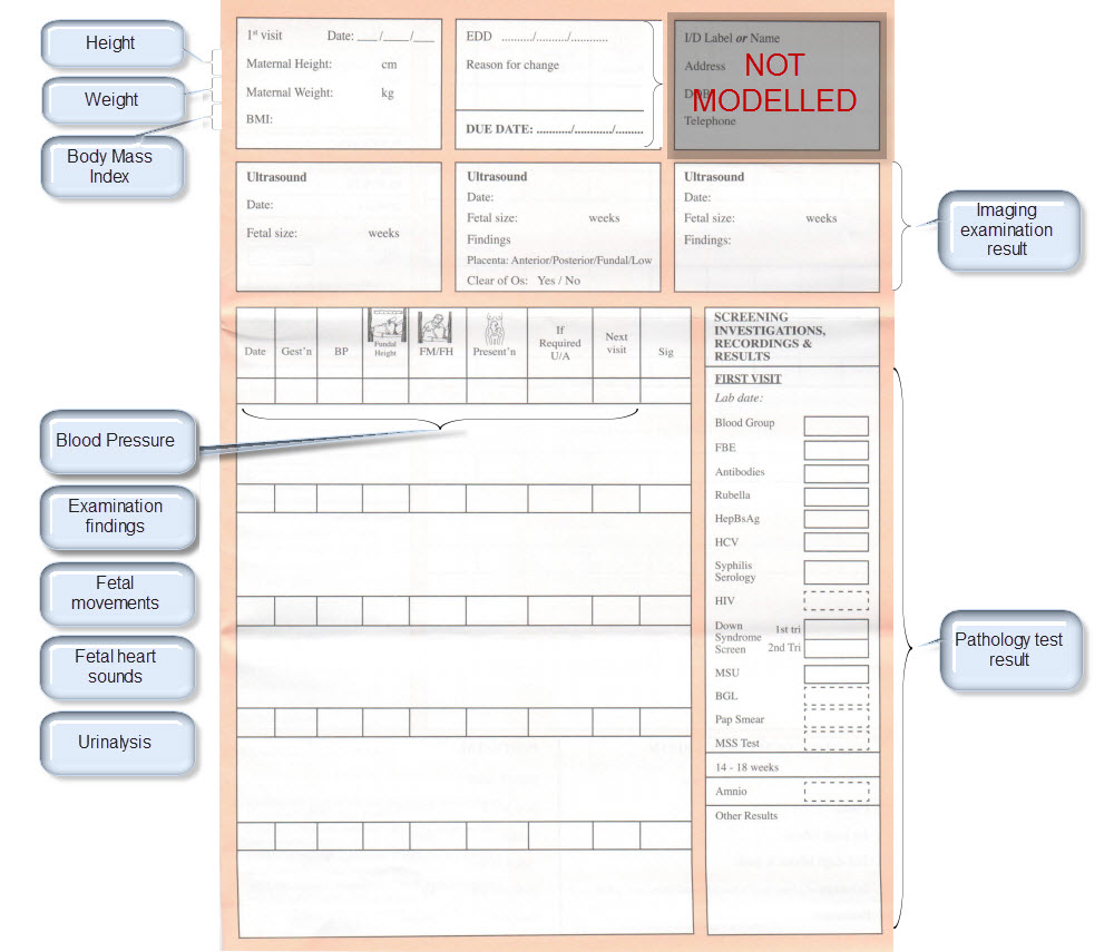 antenatal_record31.jpg
