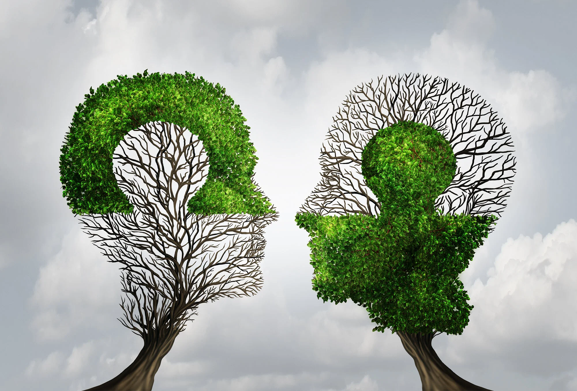 tree_head_puzzle iStock505649964_2000wide.jpg