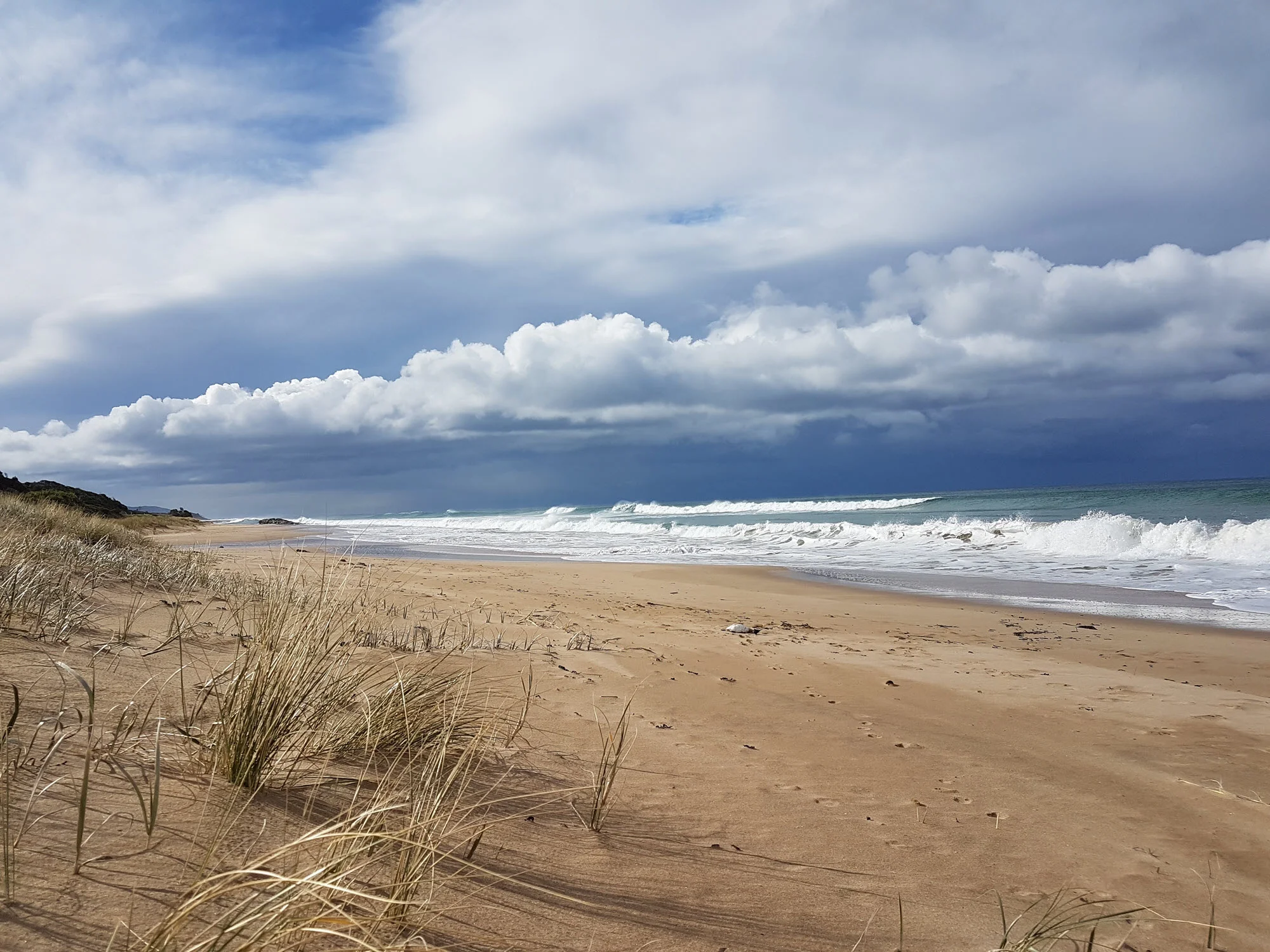 ApolloBay_2000wide.jpg