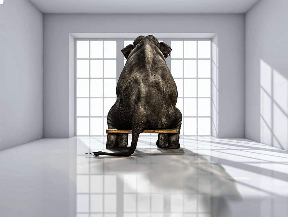The elephant = a universal lingua franca that is common to all digital health implementations.