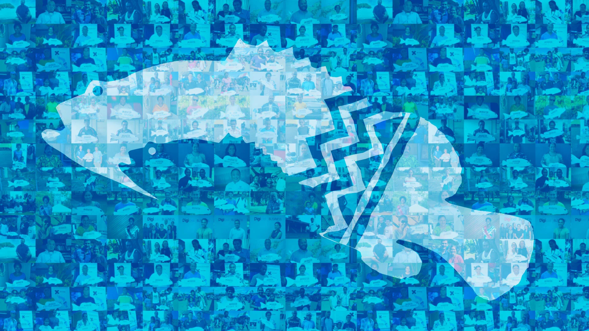 4FJ-Fish-Photo-Mosaic-Pledgers.jpg