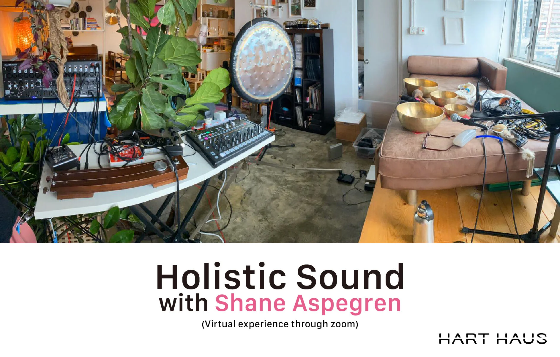 Holistic Sound with Shane Aspegren (Virtual Experience through Zoom)