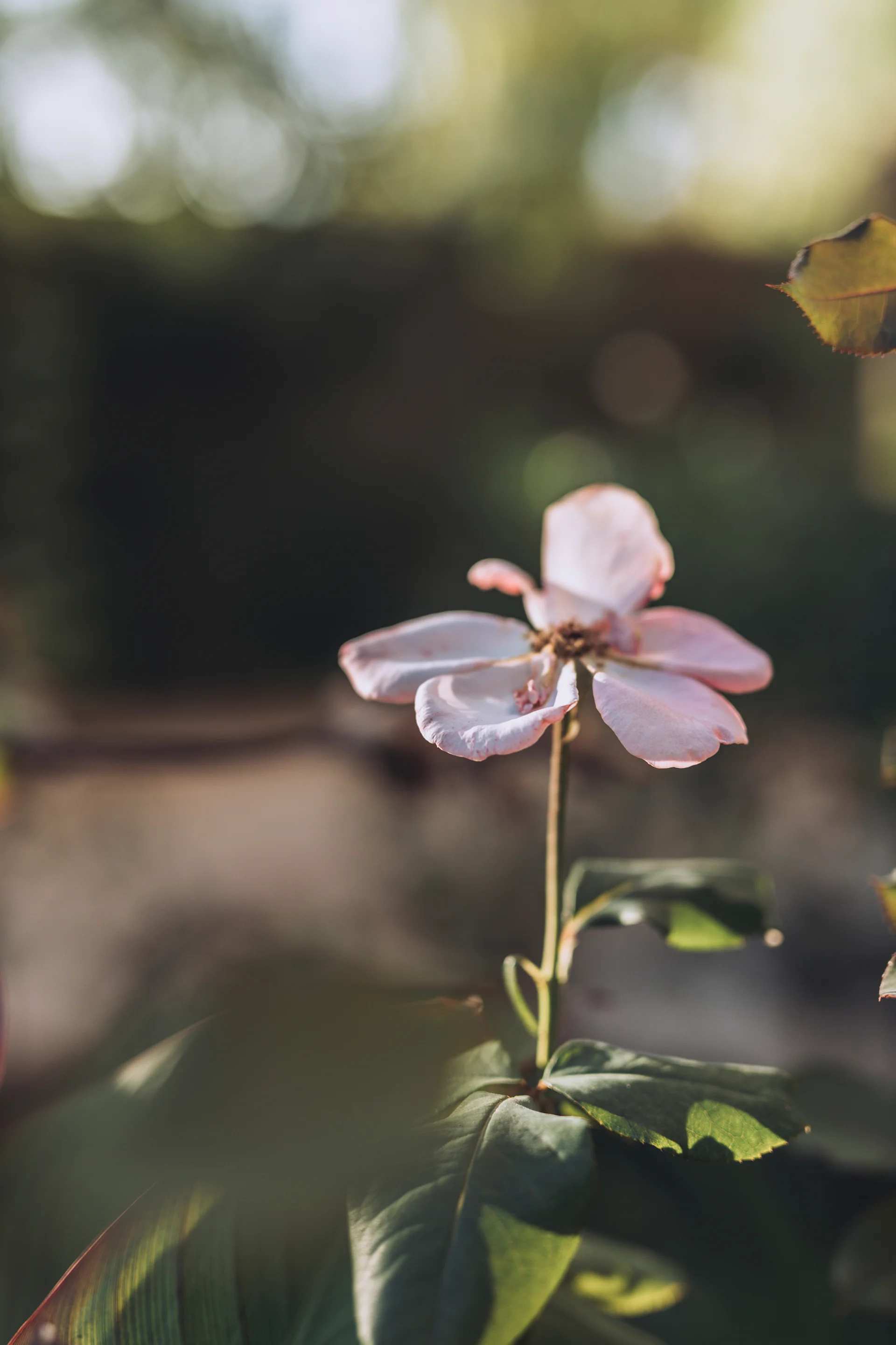 bröllopsfotograf_jönköping_2G5A6012.jpg