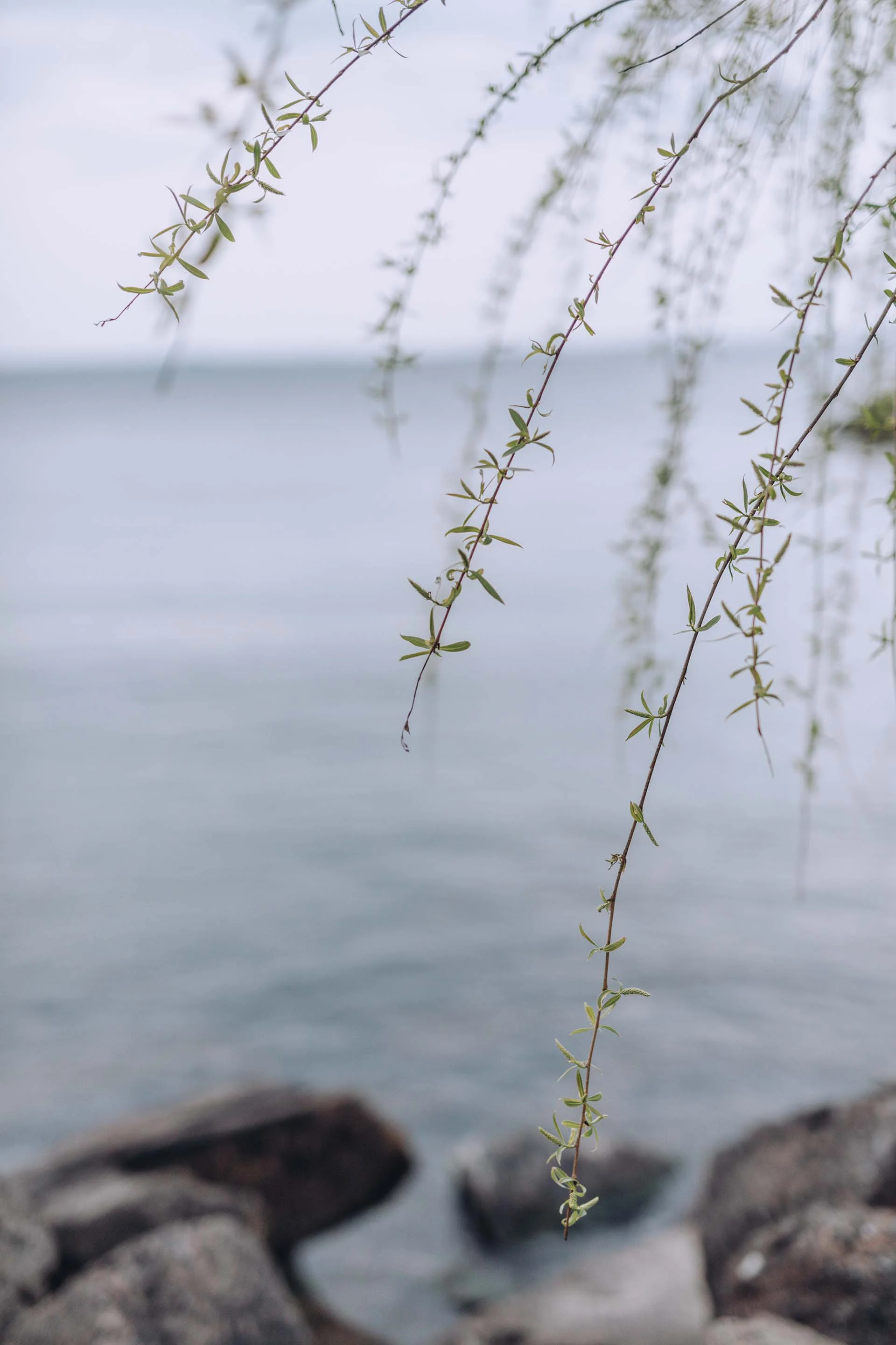 bröllopsfotograf_jönköpingLovisaAlbin_G5A8582.jpg