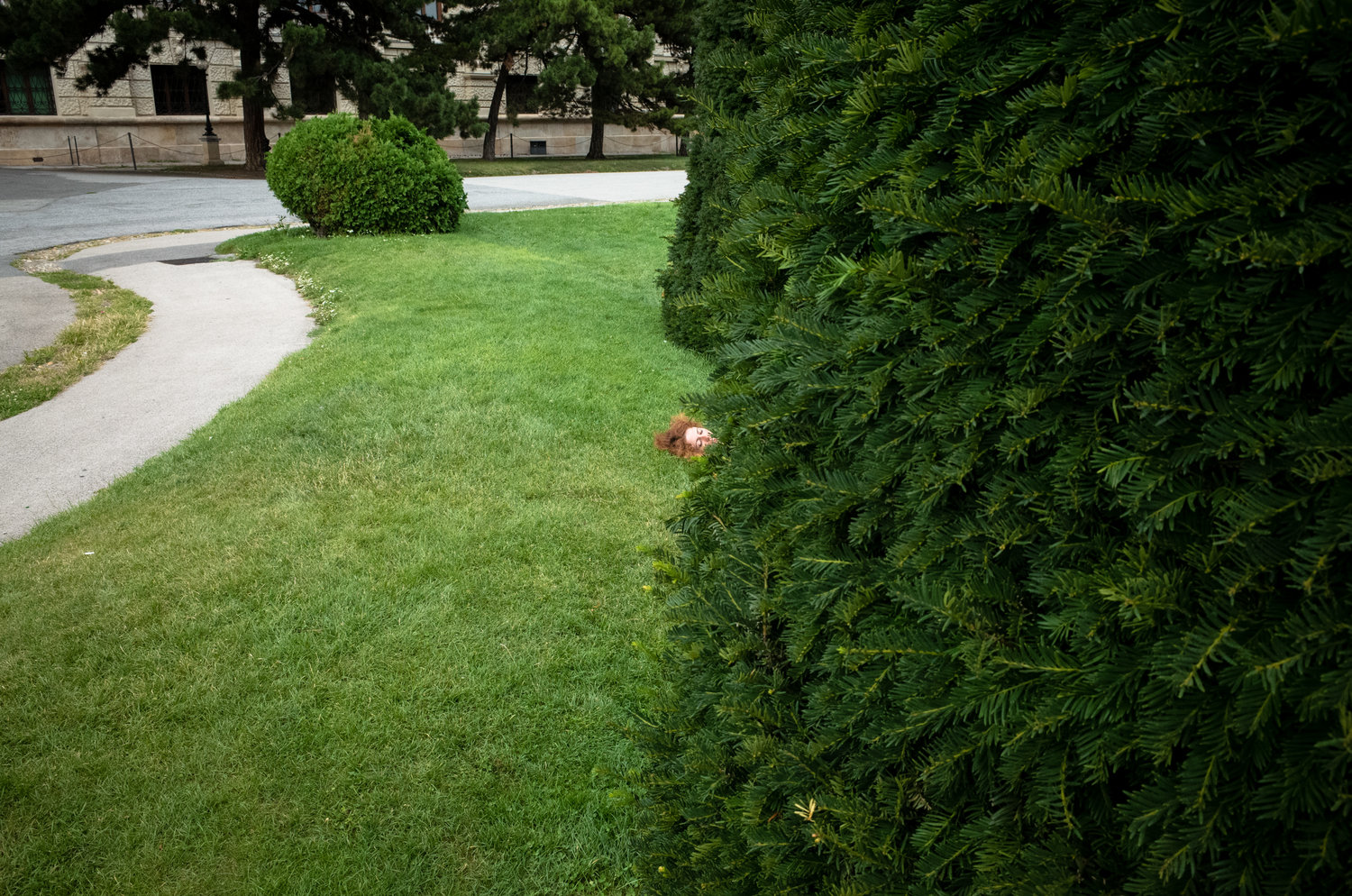 _R006614.jpg
