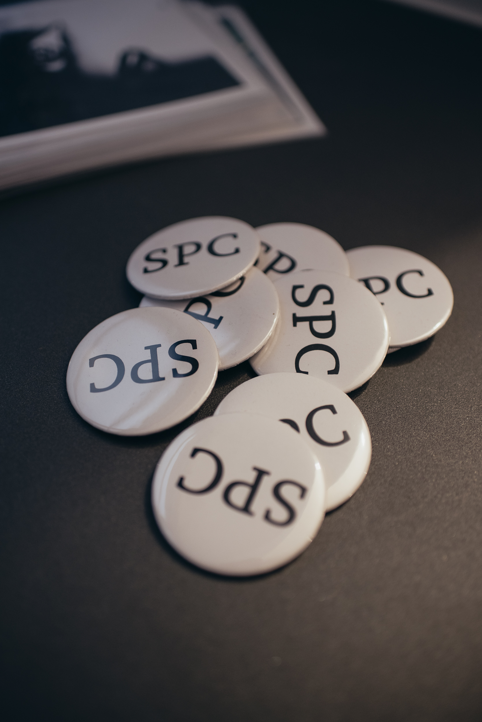 DSC_7233.jpeg