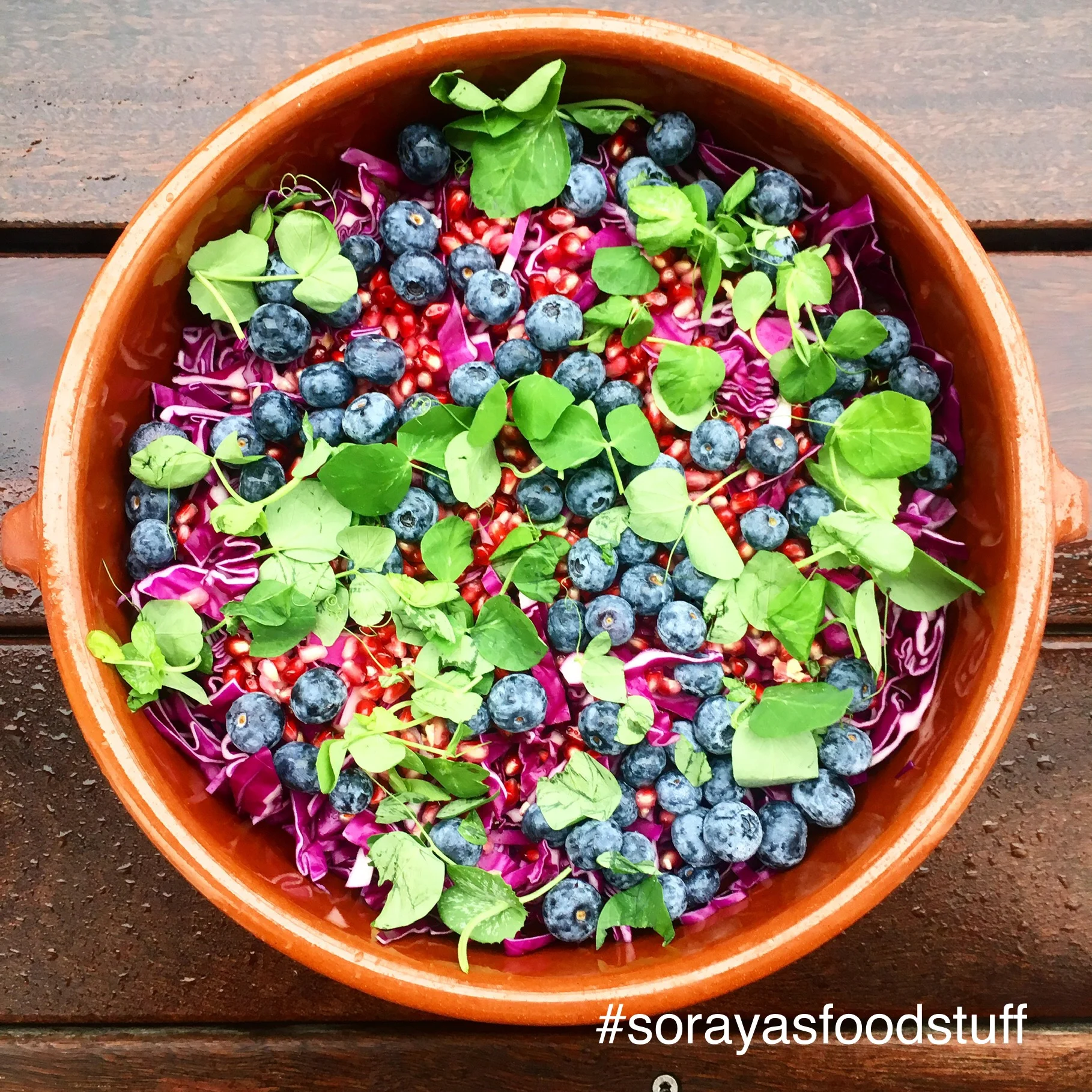 Rød spidskålssalat med granatæblekerner og blåbær