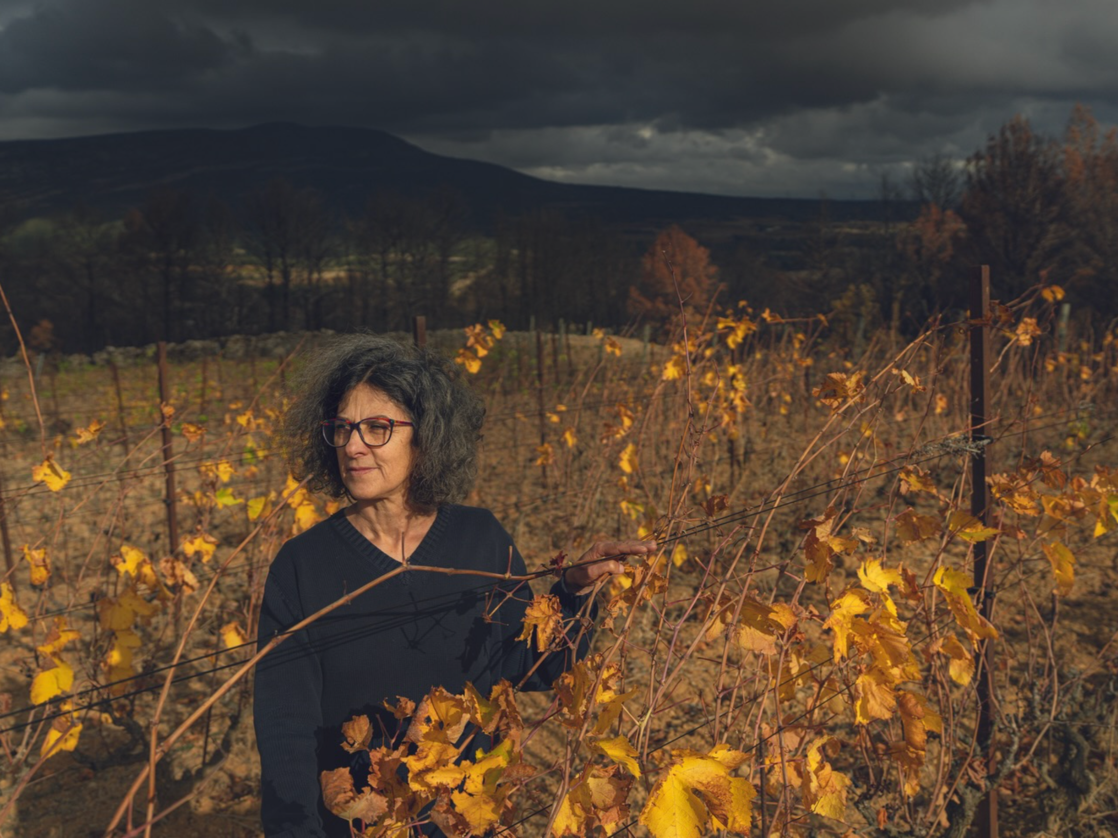 EARTH ISLAND JOURNAL: AFTER THE FIRE