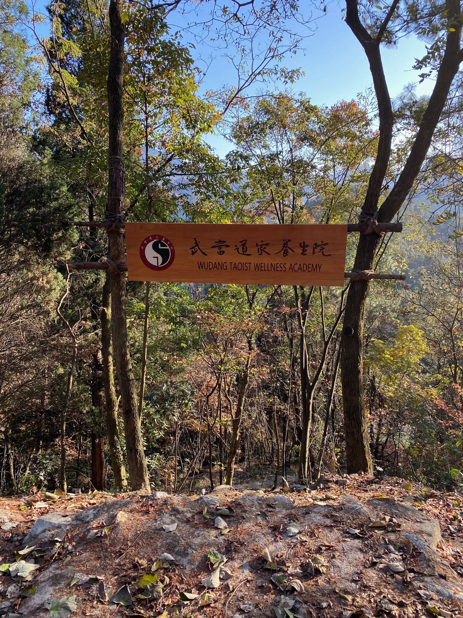 Wudang Taoist Wellness Academy