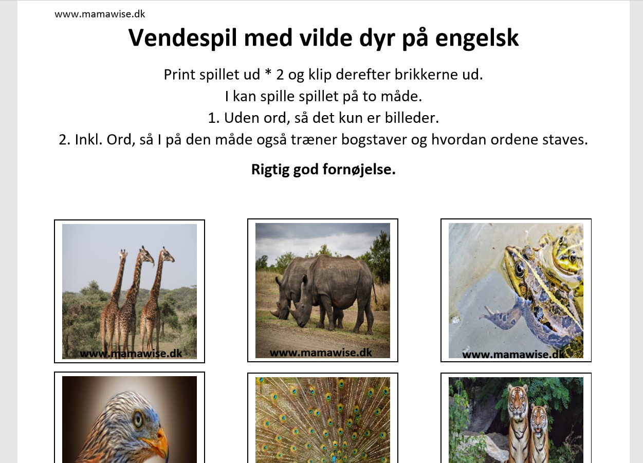 vendespil eng - vilde dyr.png