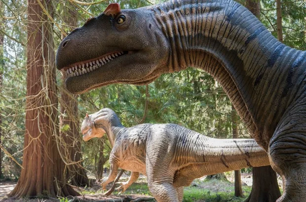 Allosaurus-800px_normal620.jpg