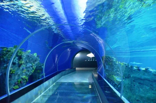 tunnel-through-tank.jpg