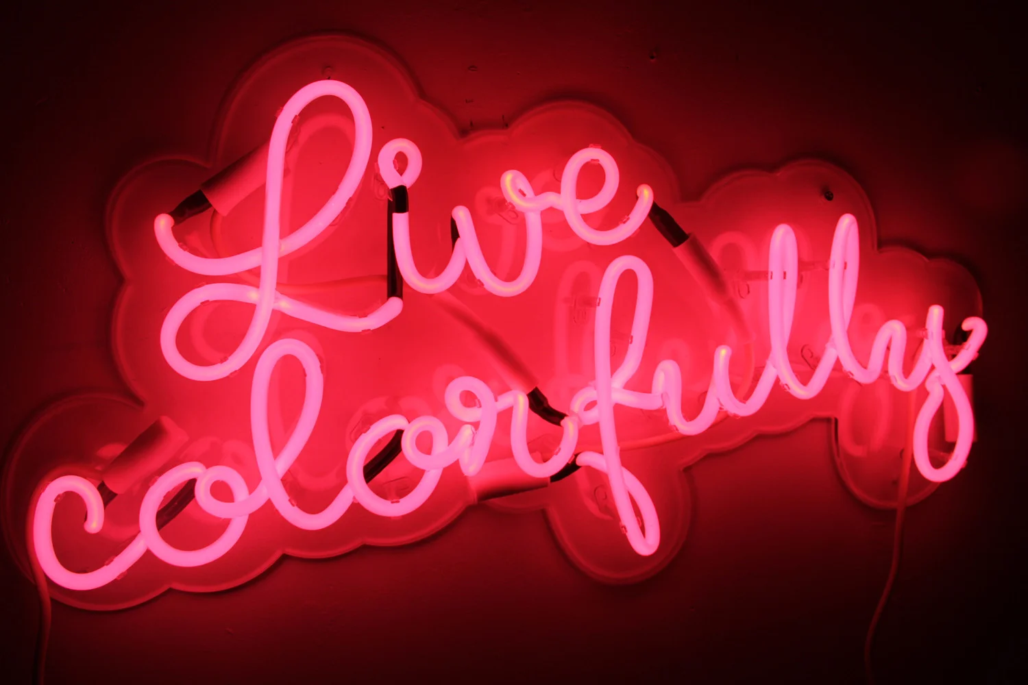 McGonagle fine art and neon work