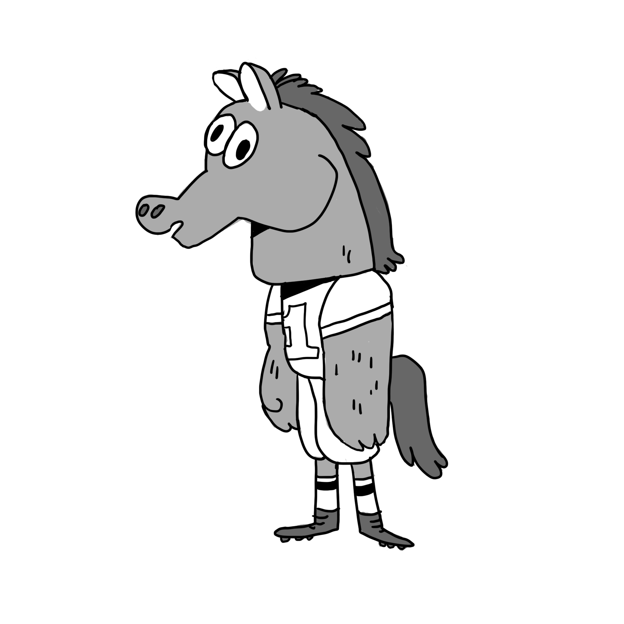 Design for Fuzzballs pilot, 2016