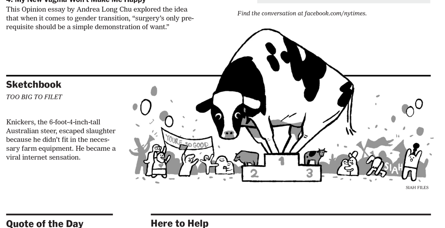 NYT Sketchbook piece, 2018, AD Andrew Sondern