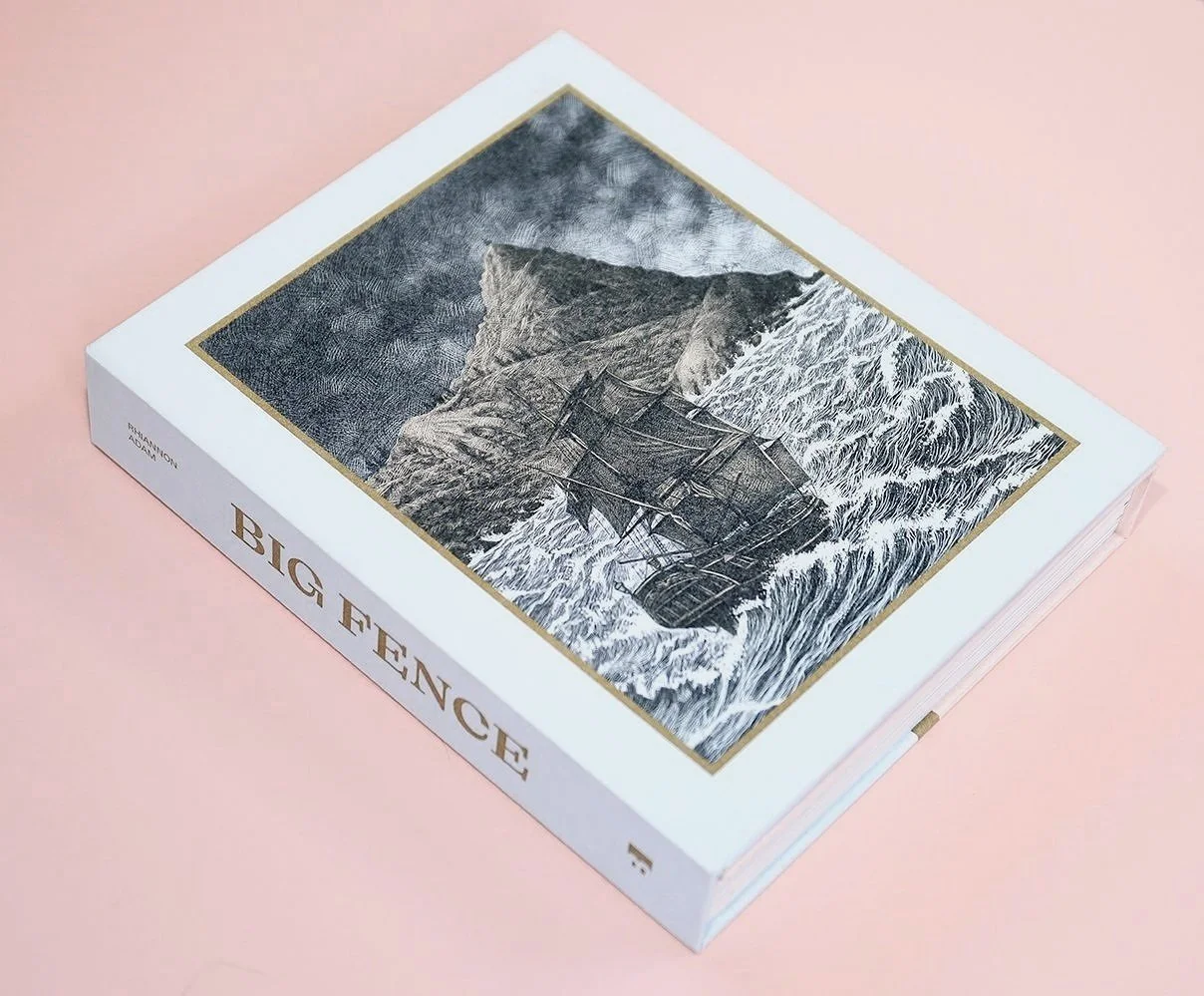  Big Fence, published by Blow Up Press, 2022 