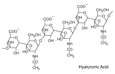 \"Hyaluronic