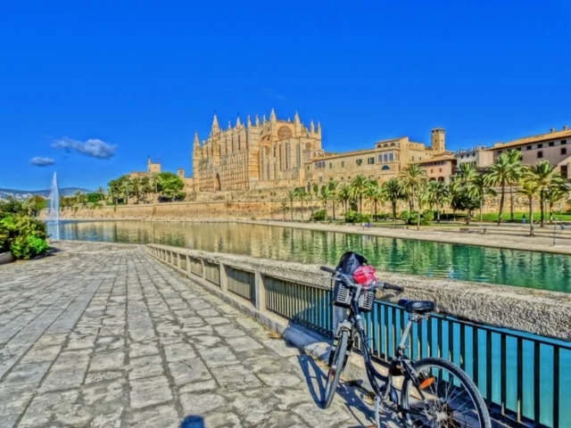 Palma.JPG