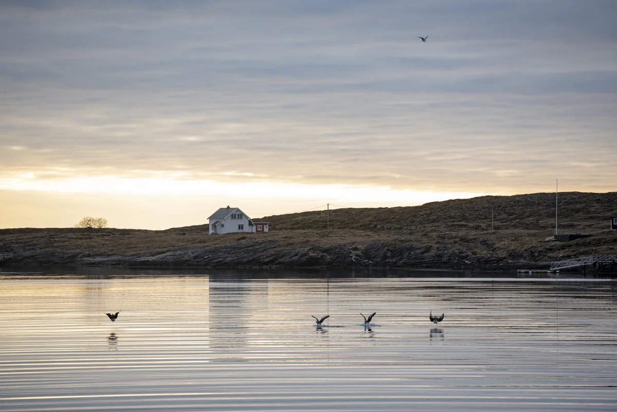 Kulturhistorie (Copy)