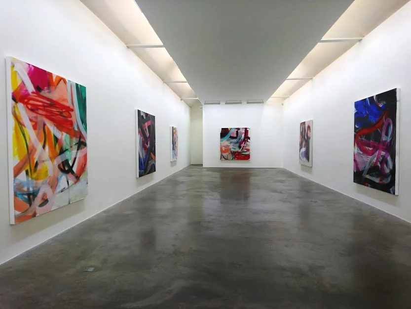 Intense paintings by Liliane Tomasko in the Kerlin Gallery .