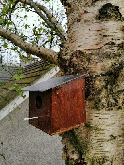 Birdbox with slated roof