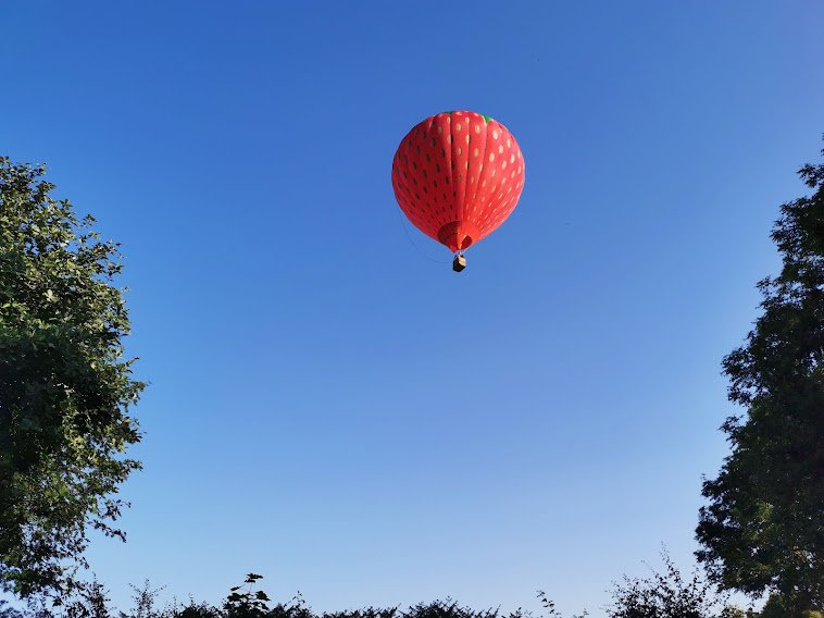 A low flying balloon over the garden