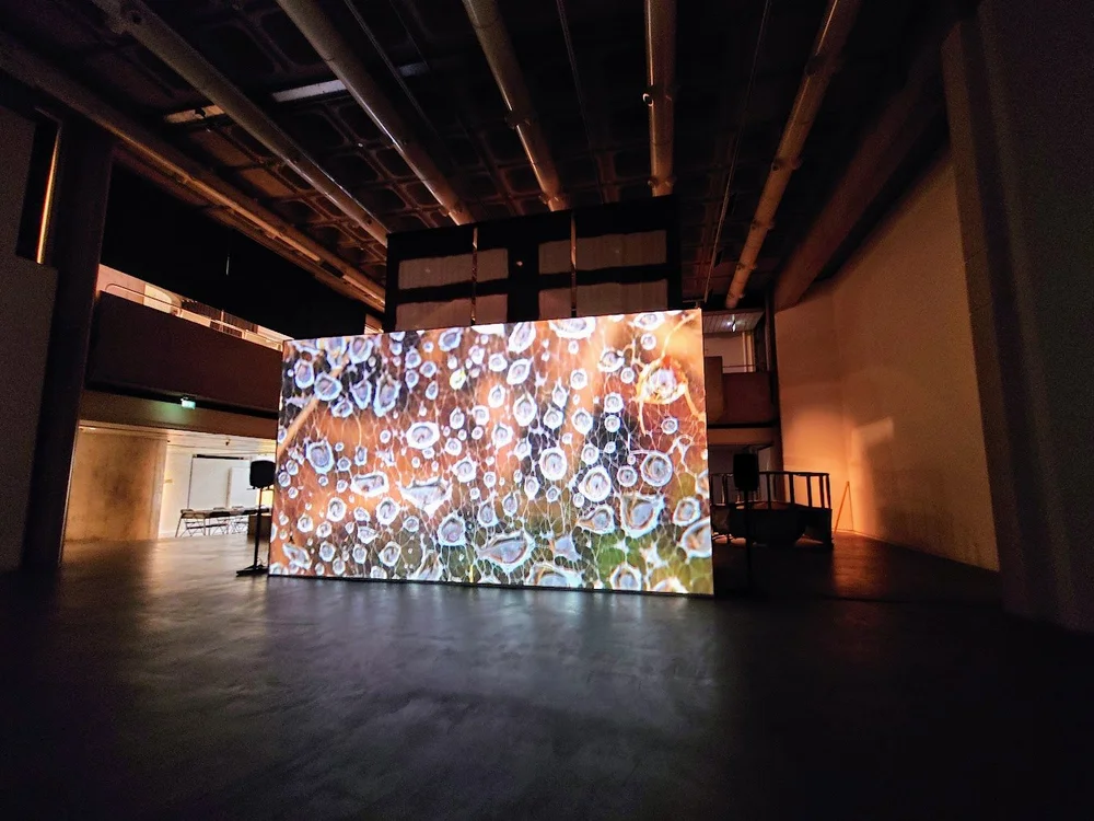 Deirdre O'Mahony's 'The Quickening' at the Douglas Hyde