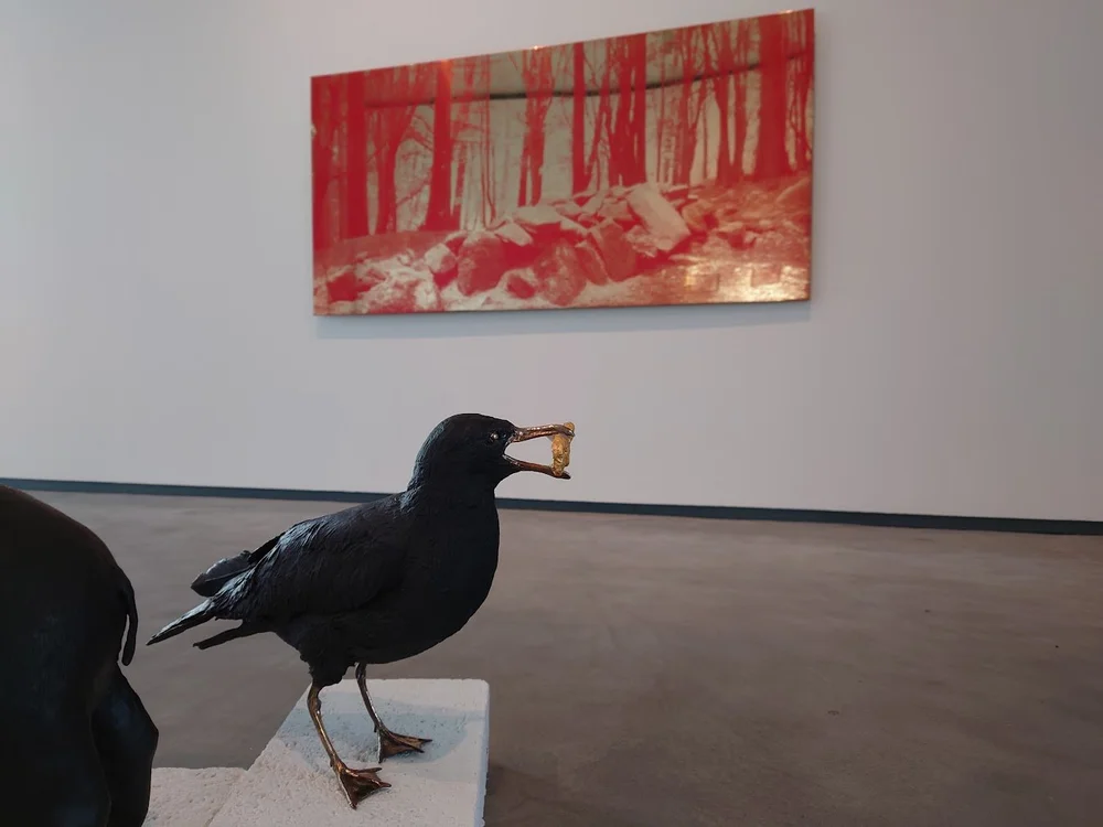 Niamh McCann at the MAC, Belfast