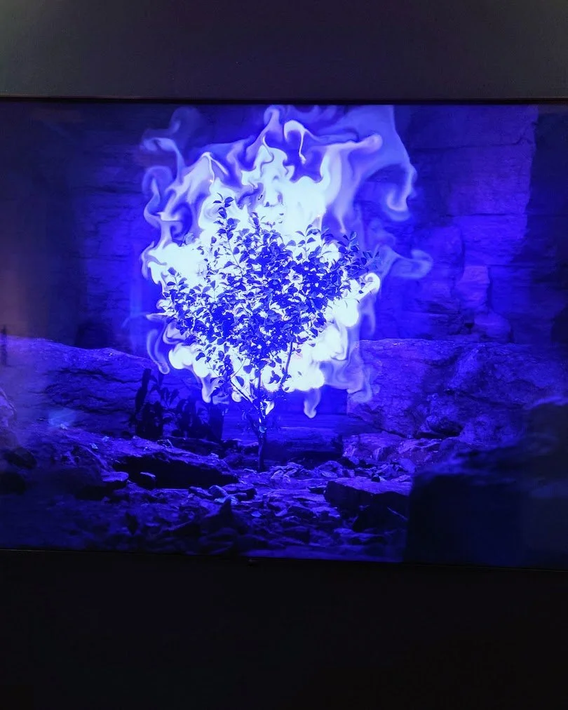 Digital Arts Studios