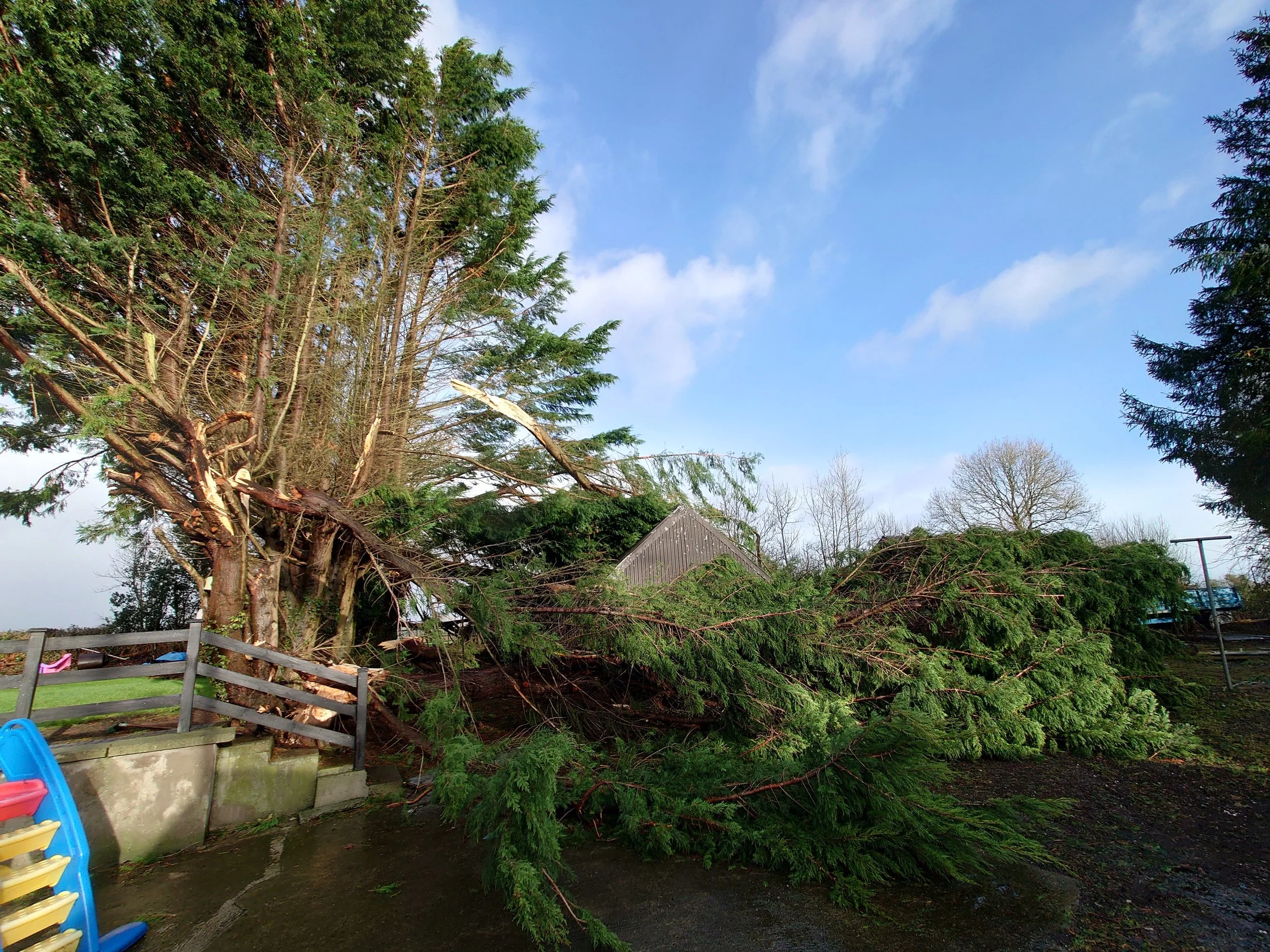 Storm Éowyn has an impact