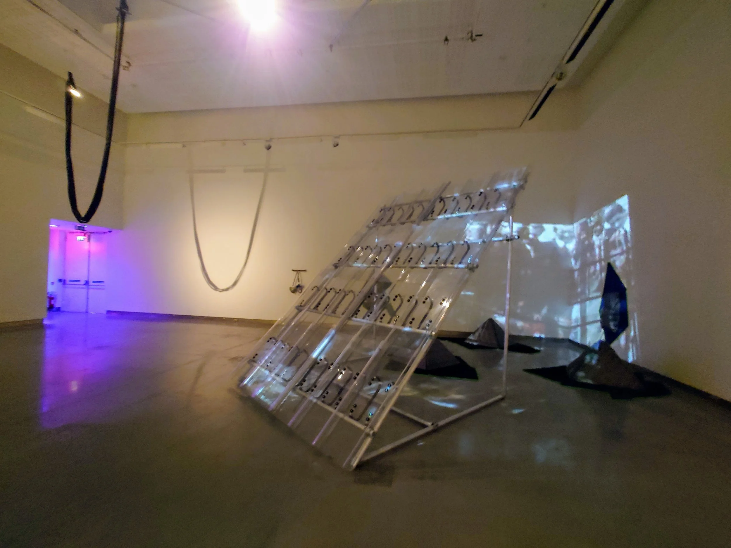 'The Goose and the Common' by Array at RUA RED