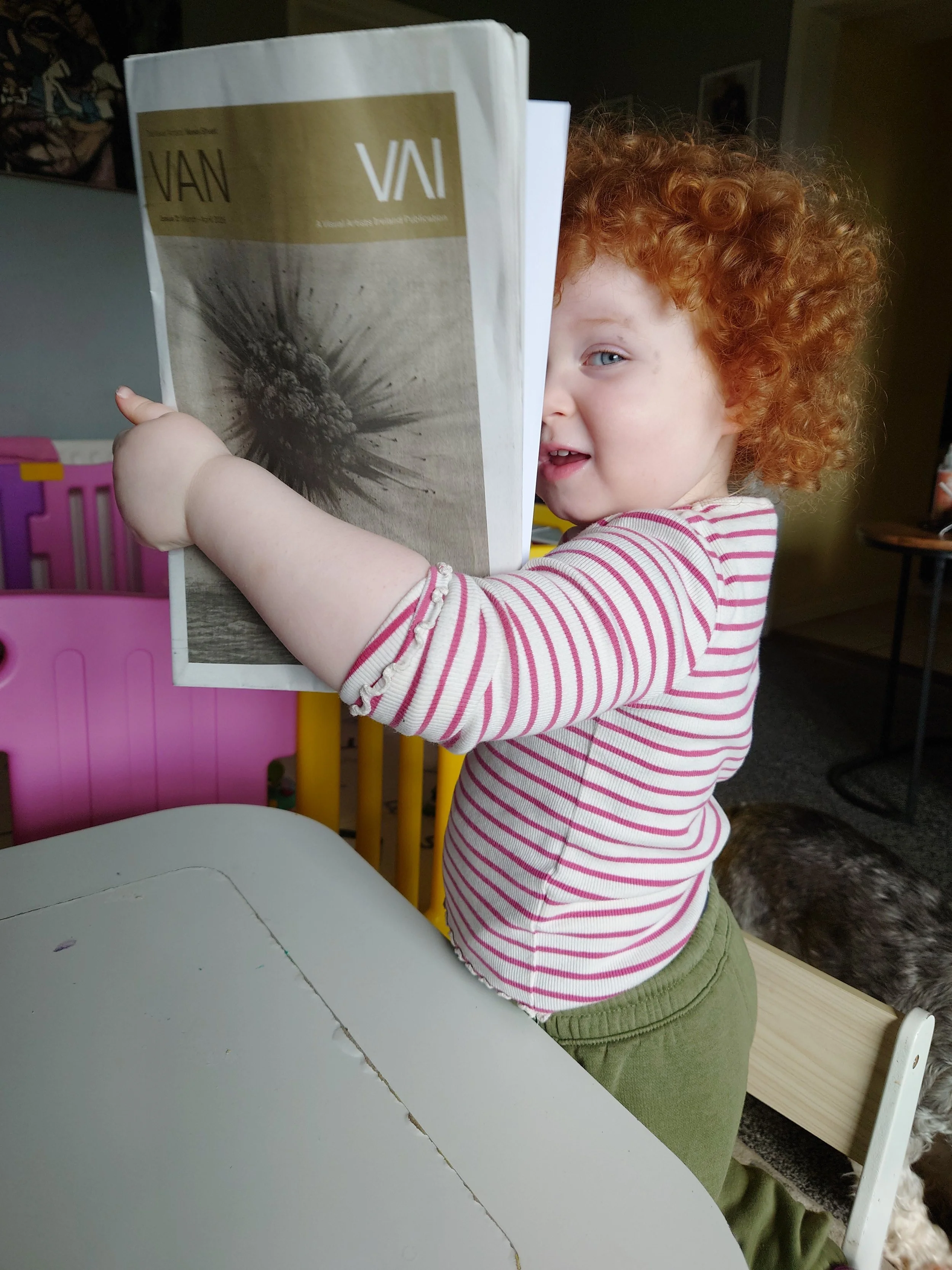 Latesst copy of the Visual Artists' News Sheet lands