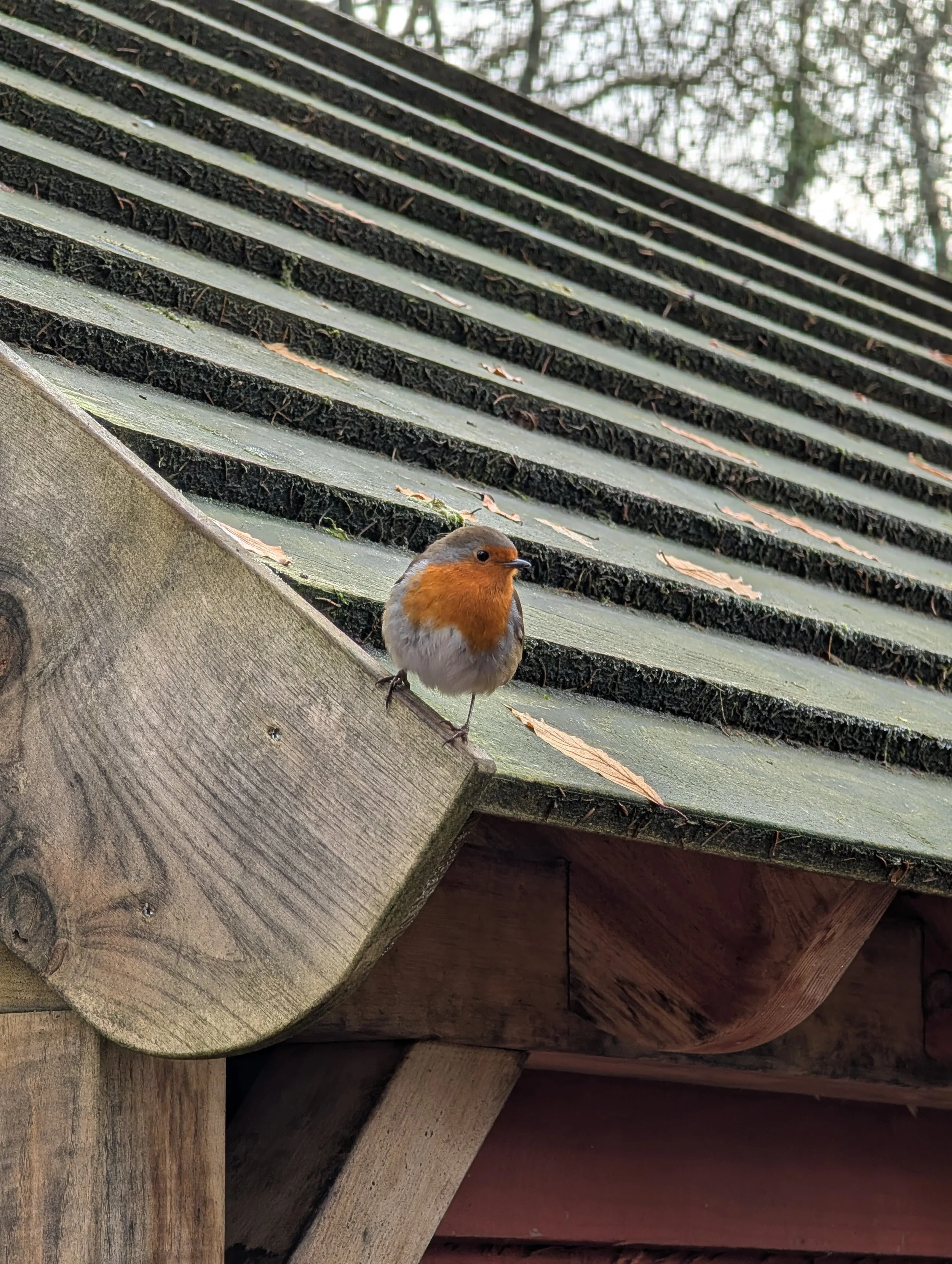 Visit to Pomeroy Forest Park
