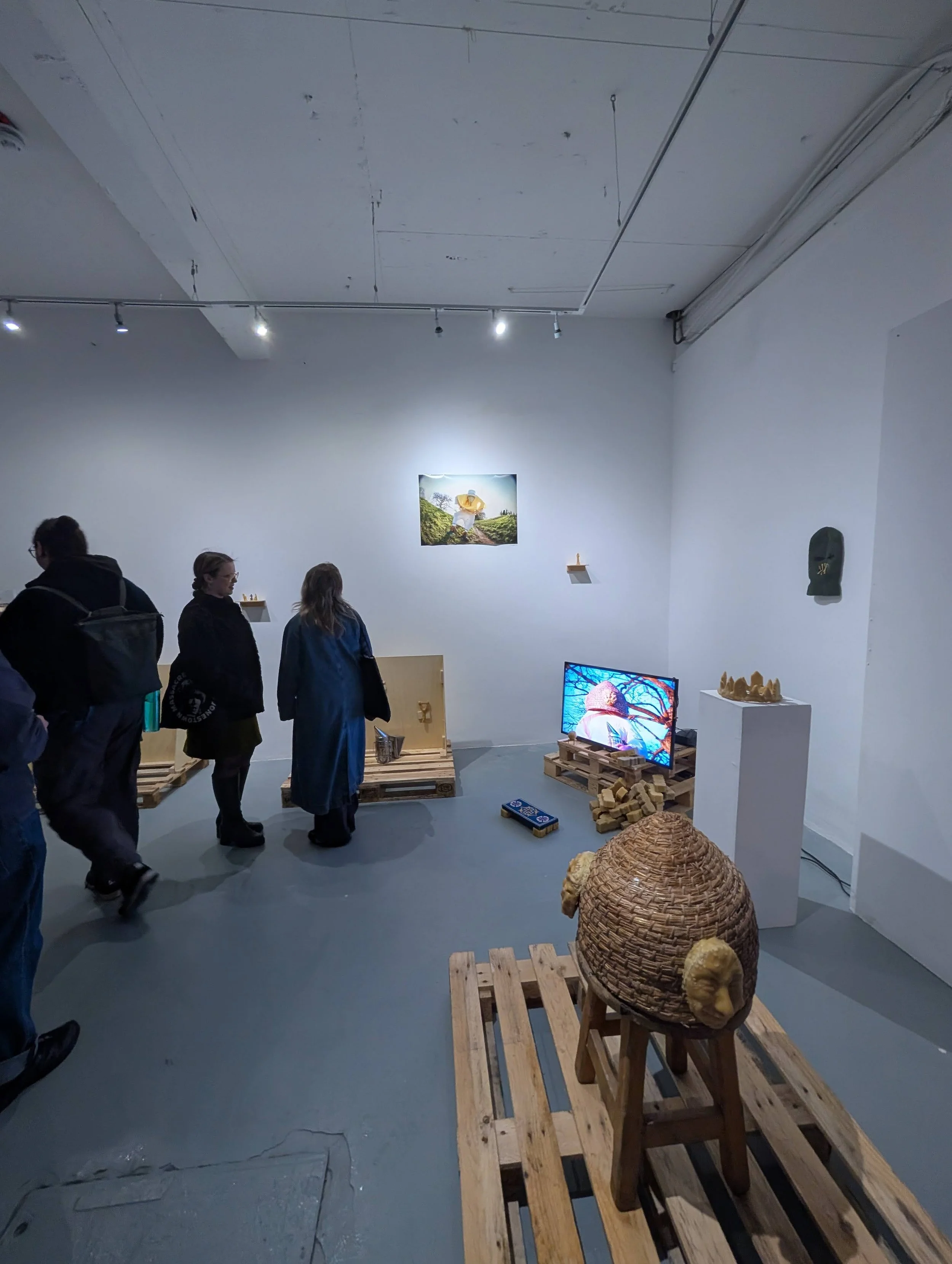 Siofra Minnis - Catalyst Arts