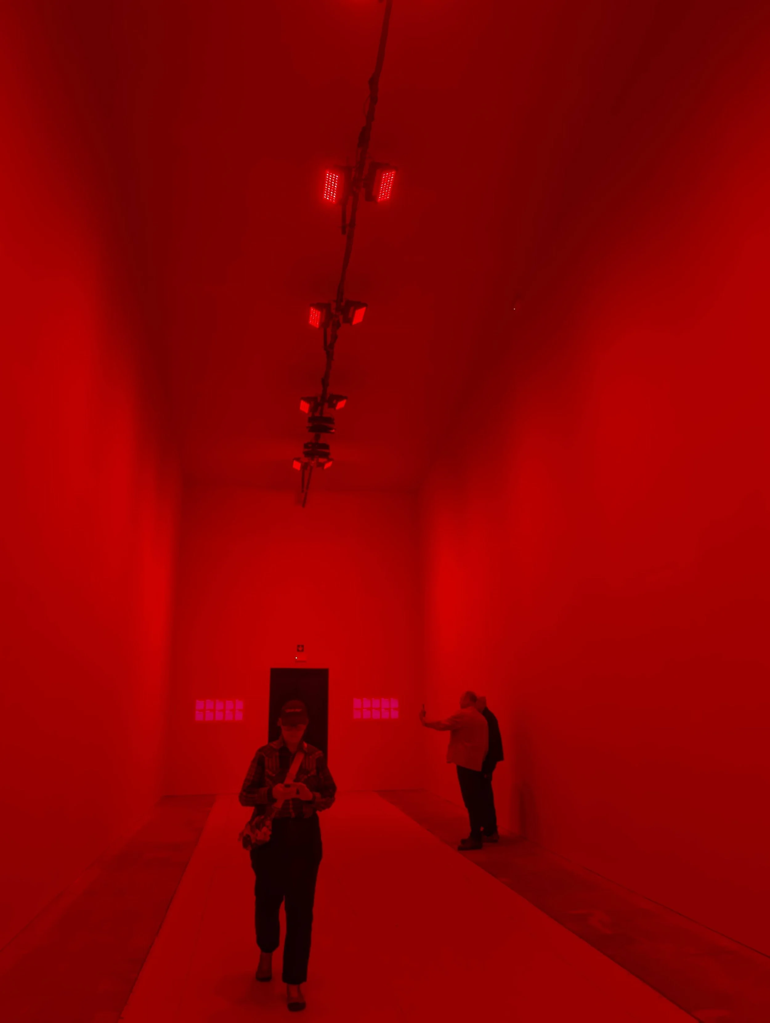 Alfredo Jaar