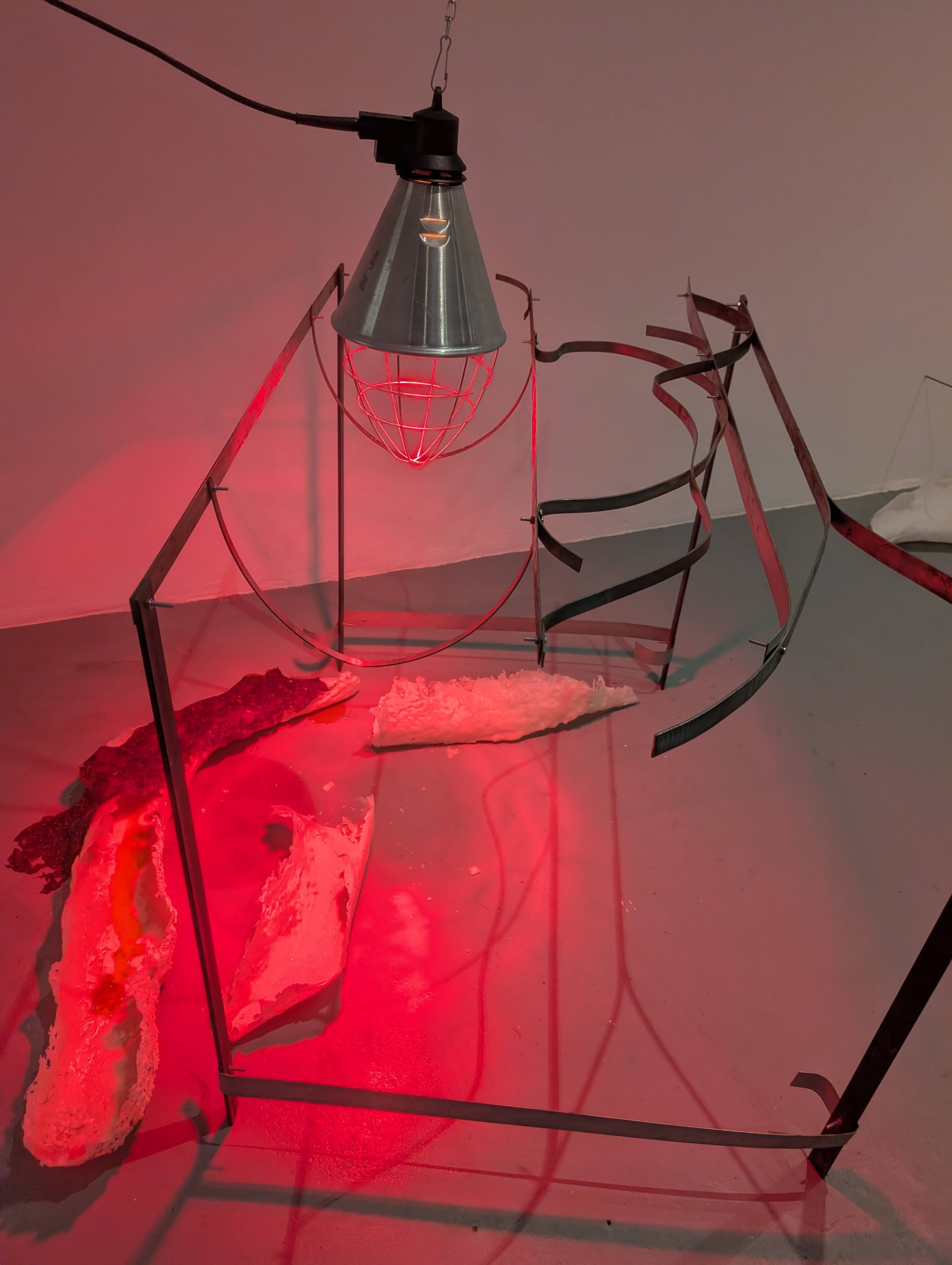 Annie Hogg &amp; Theo Hynan-Ratcliffe in Catalyst