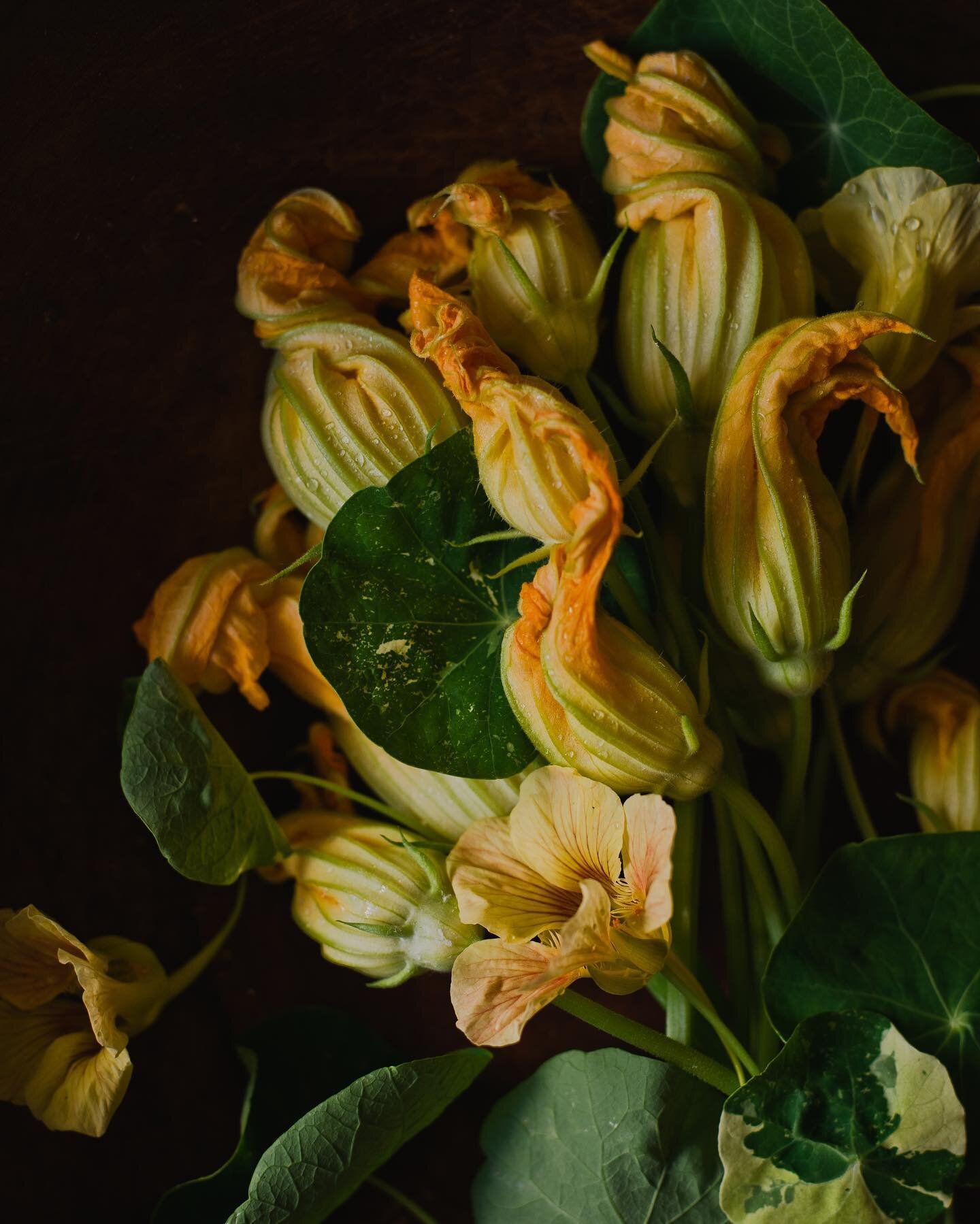 New recipe ✨I wanted to create a fried squash blossom recipe that was less fussy and something I would crave all summer long. This recipe combines lightly fried squash and nasturtium blooms, scattered together with fresh snap peas, topped with lemon 