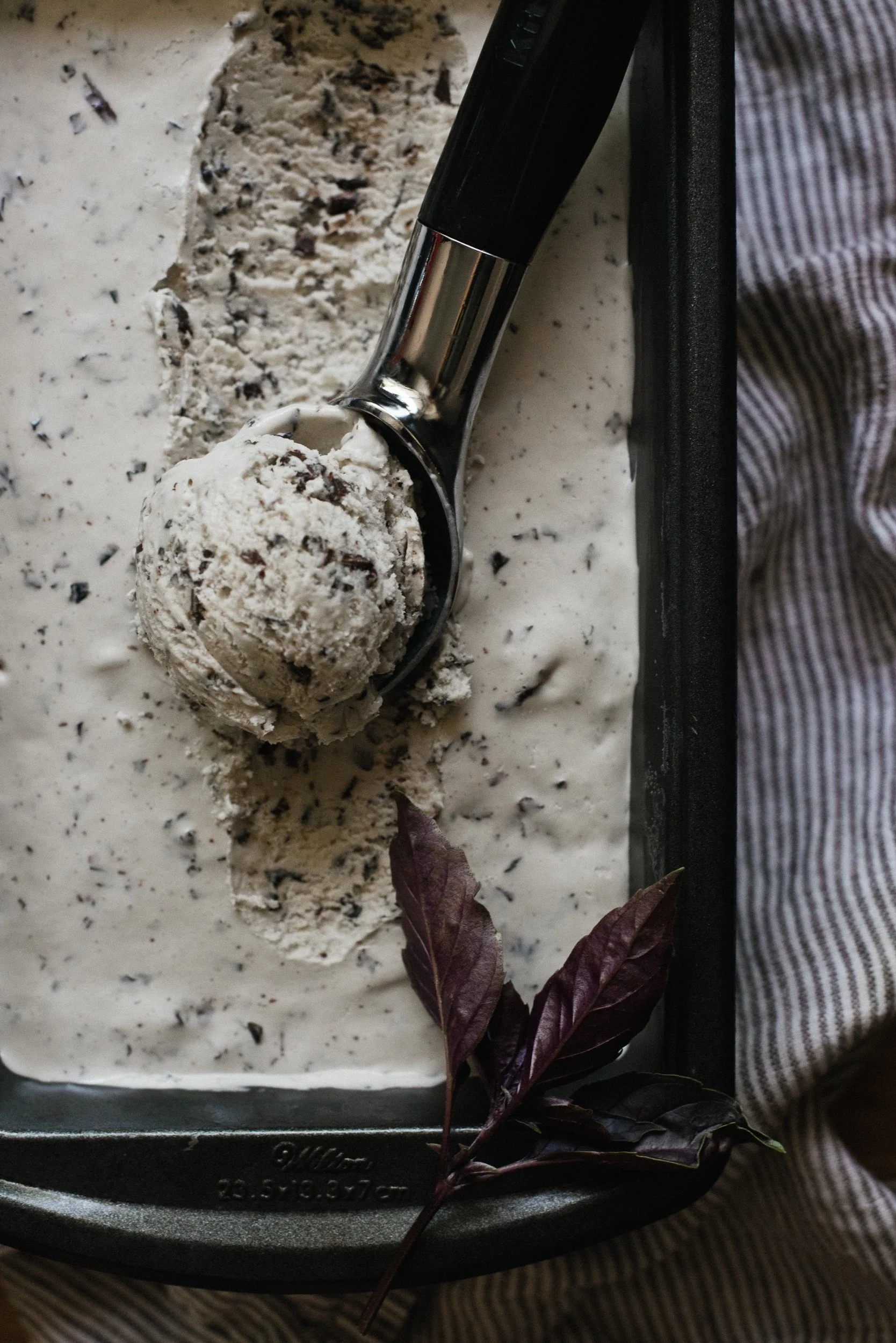 Basil Chocolate Chip No-Churn Ice Cream