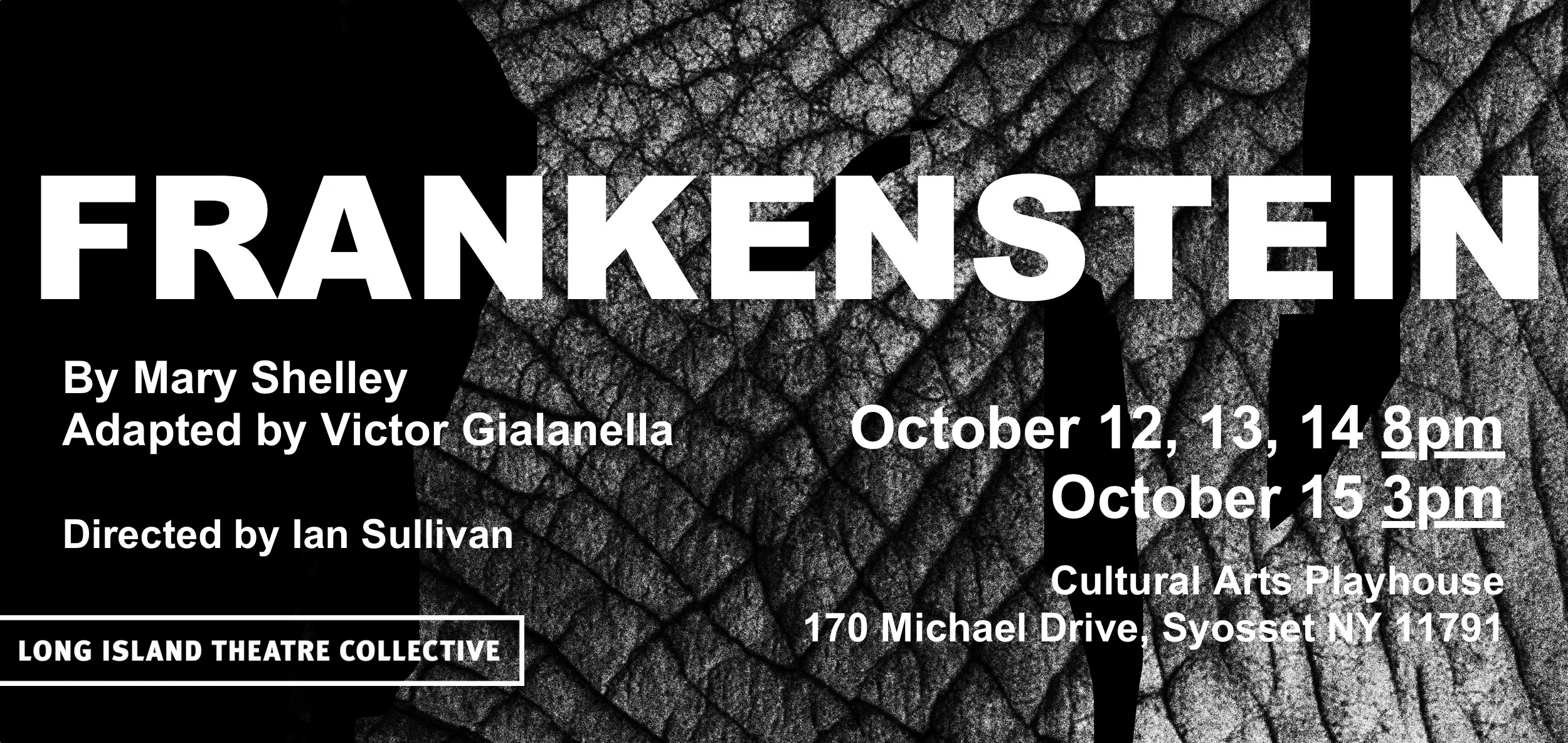 frankenstein-banner.jpg